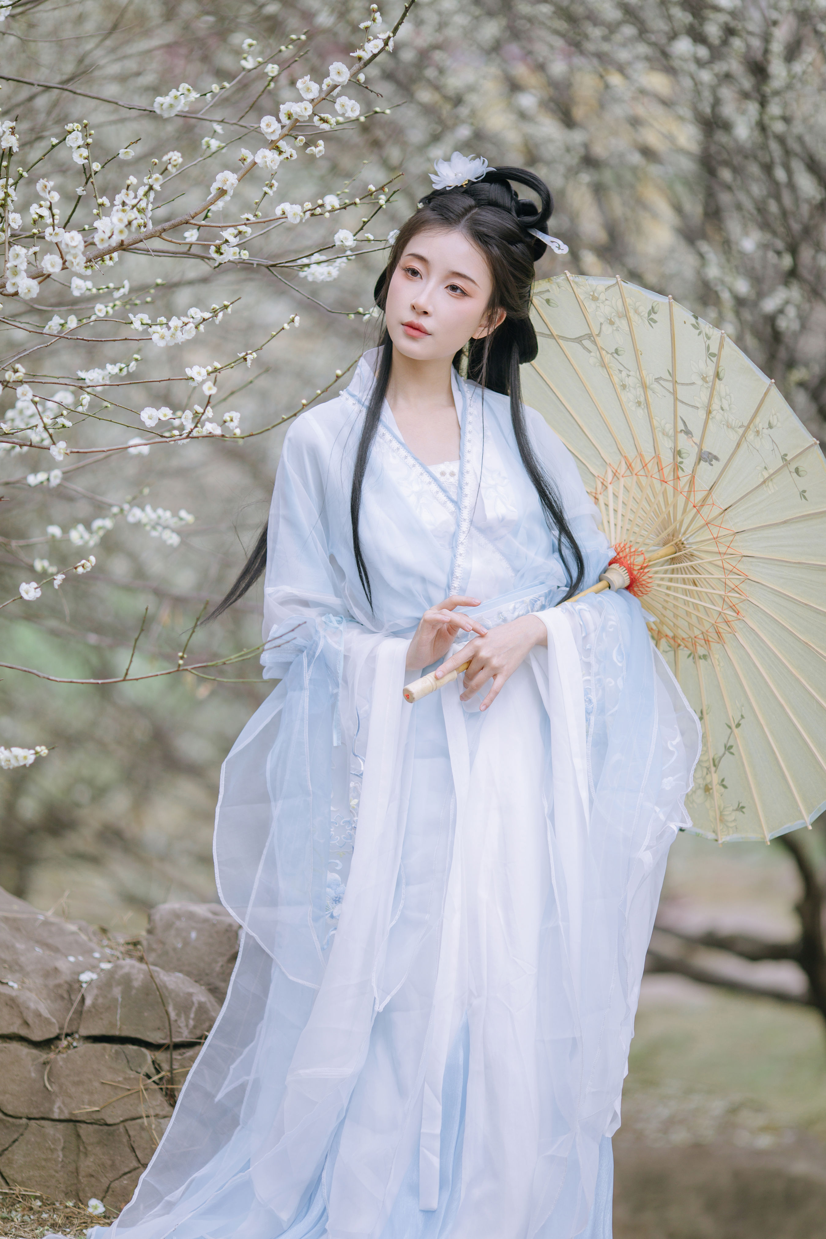 暗香浮动