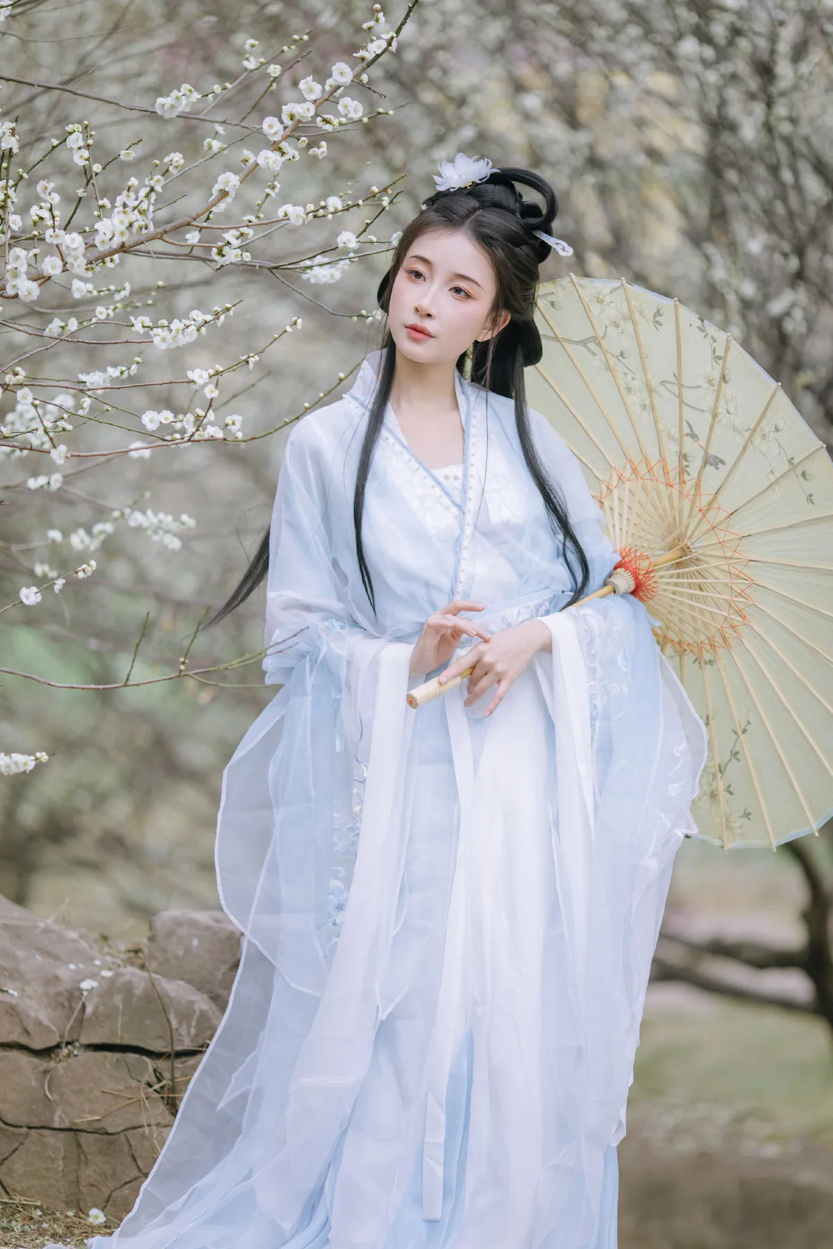 晓山青_无巧不成狐（兮雅）《暗香浮动》美图作品图片1