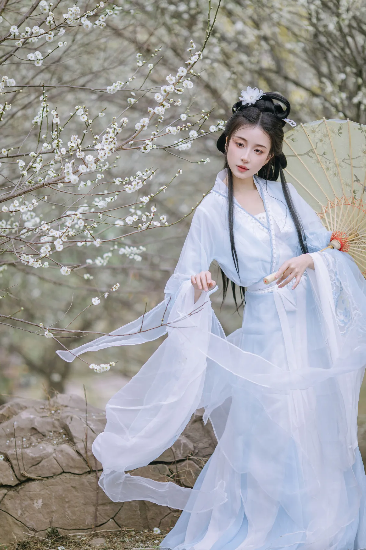暗香浮动
