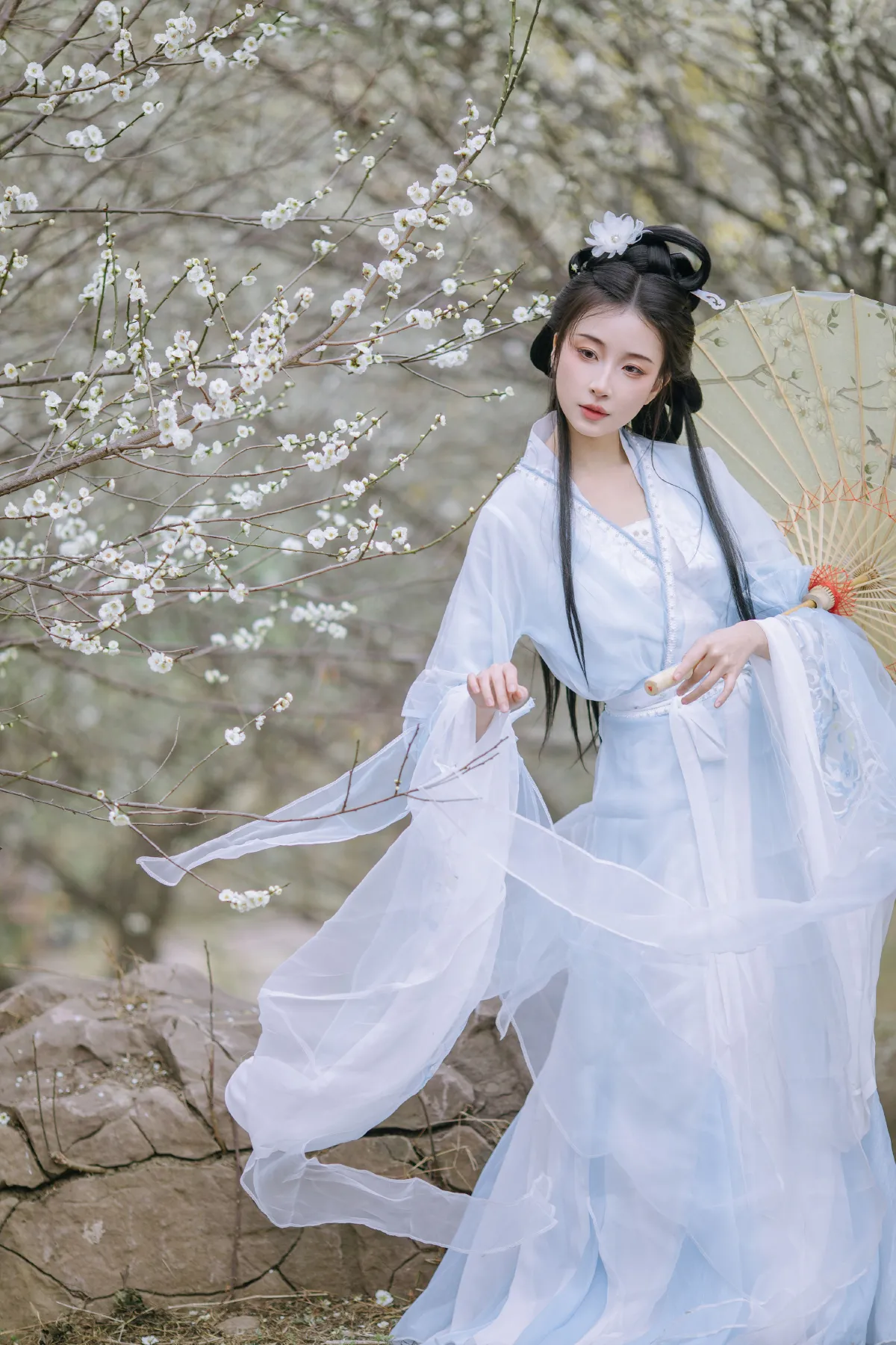 晓山青_无巧不成狐（兮雅）《暗香浮动》美图作品图片2