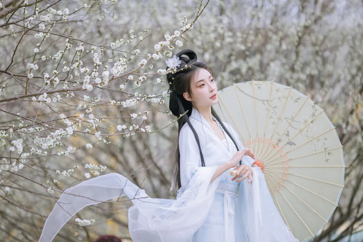 晓山青_无巧不成狐（兮雅）《暗香浮动》美图作品图片3