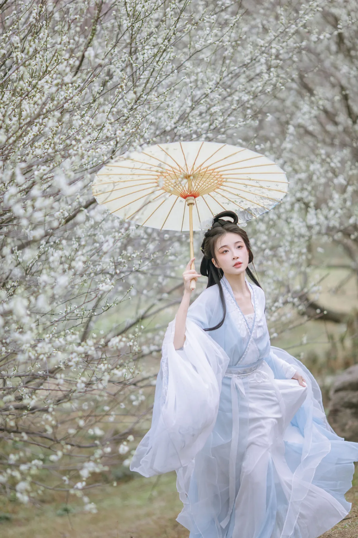 晓山青_无巧不成狐（兮雅）《暗香浮动》美图作品图片4