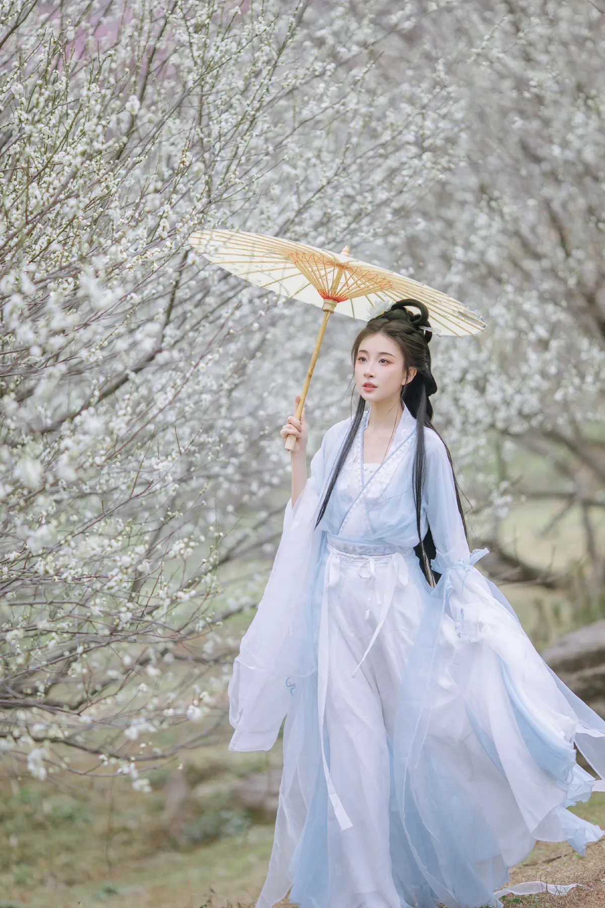 晓山青_无巧不成狐（兮雅）《暗香浮动》美图作品图片5