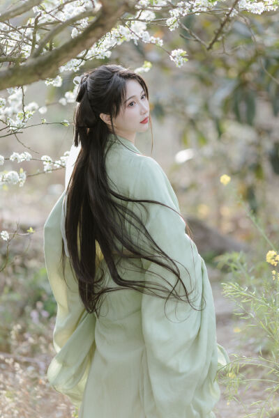 杏花吹满头