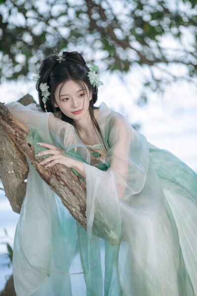 小青鸟