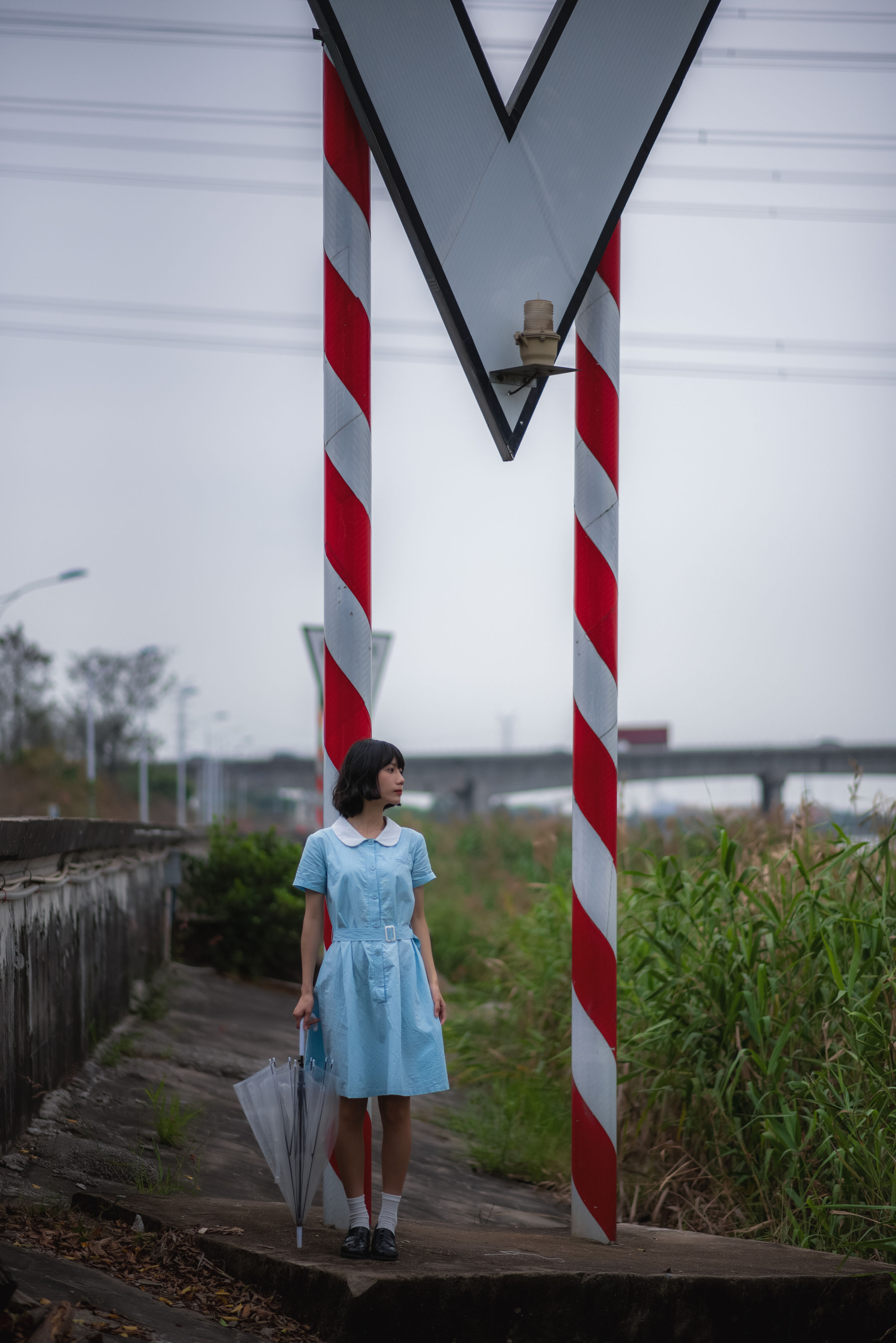 菠萝_特特《等风也等你》美图作品图片1