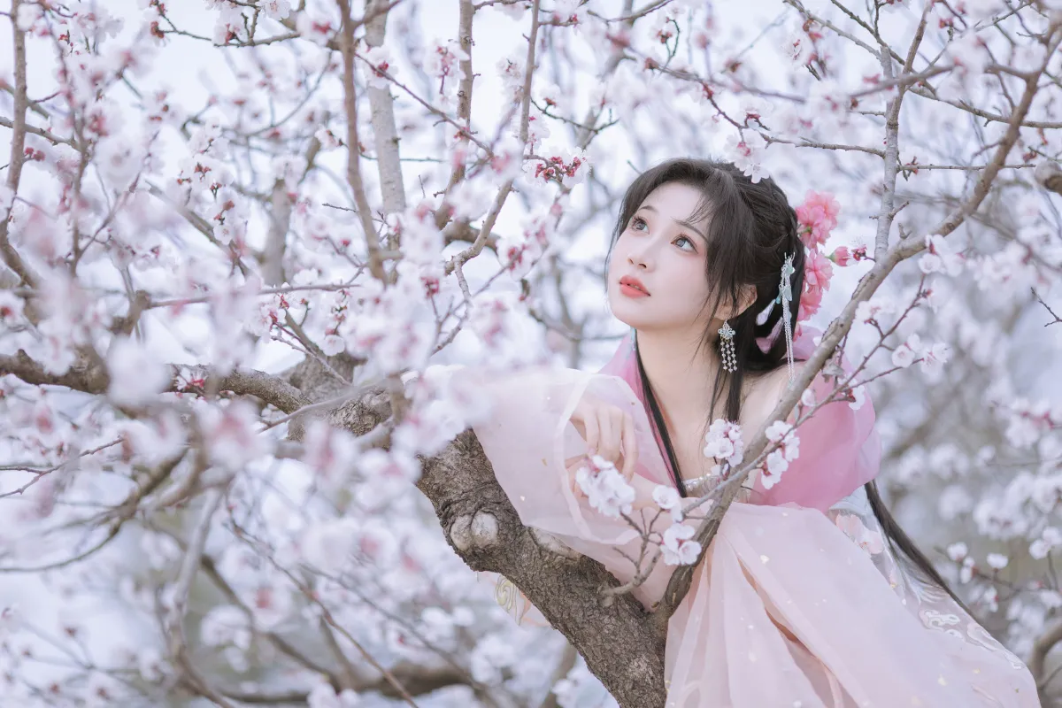 杏花小仙子4