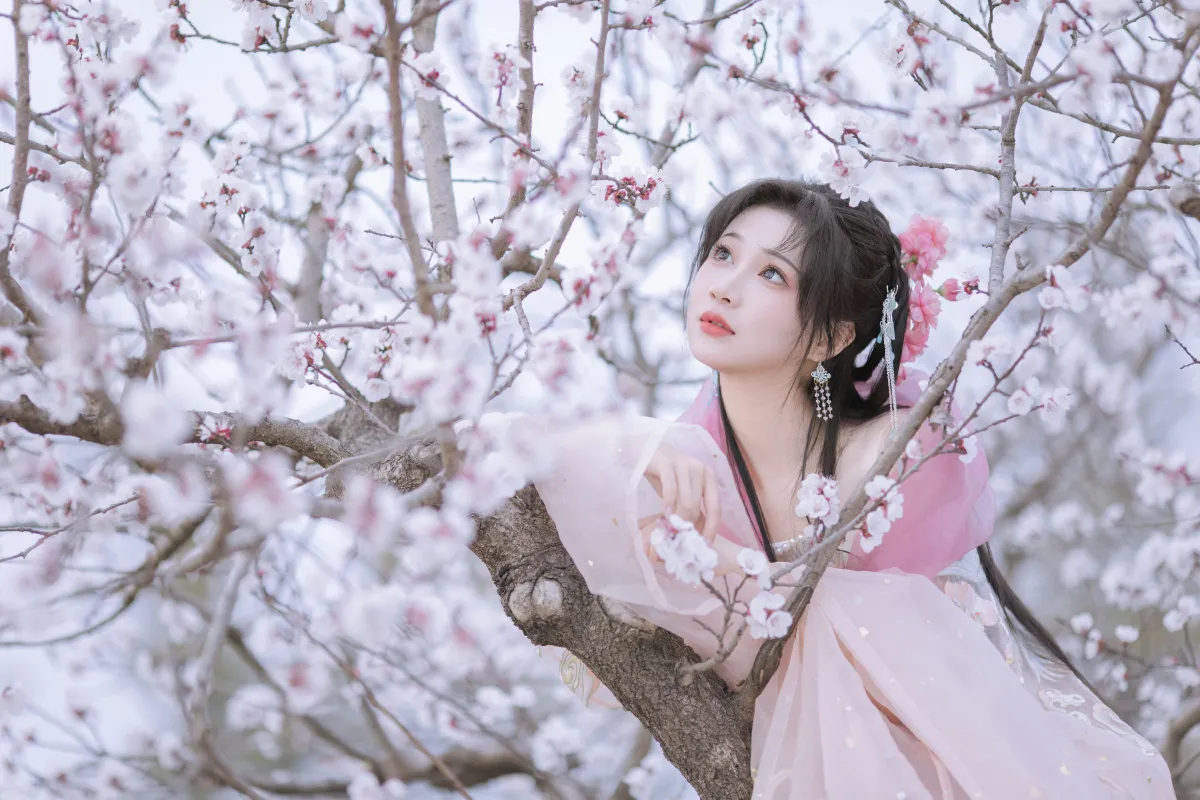 晓山青_绮罗生的小苏苏《杏花小仙子》美图作品图片4