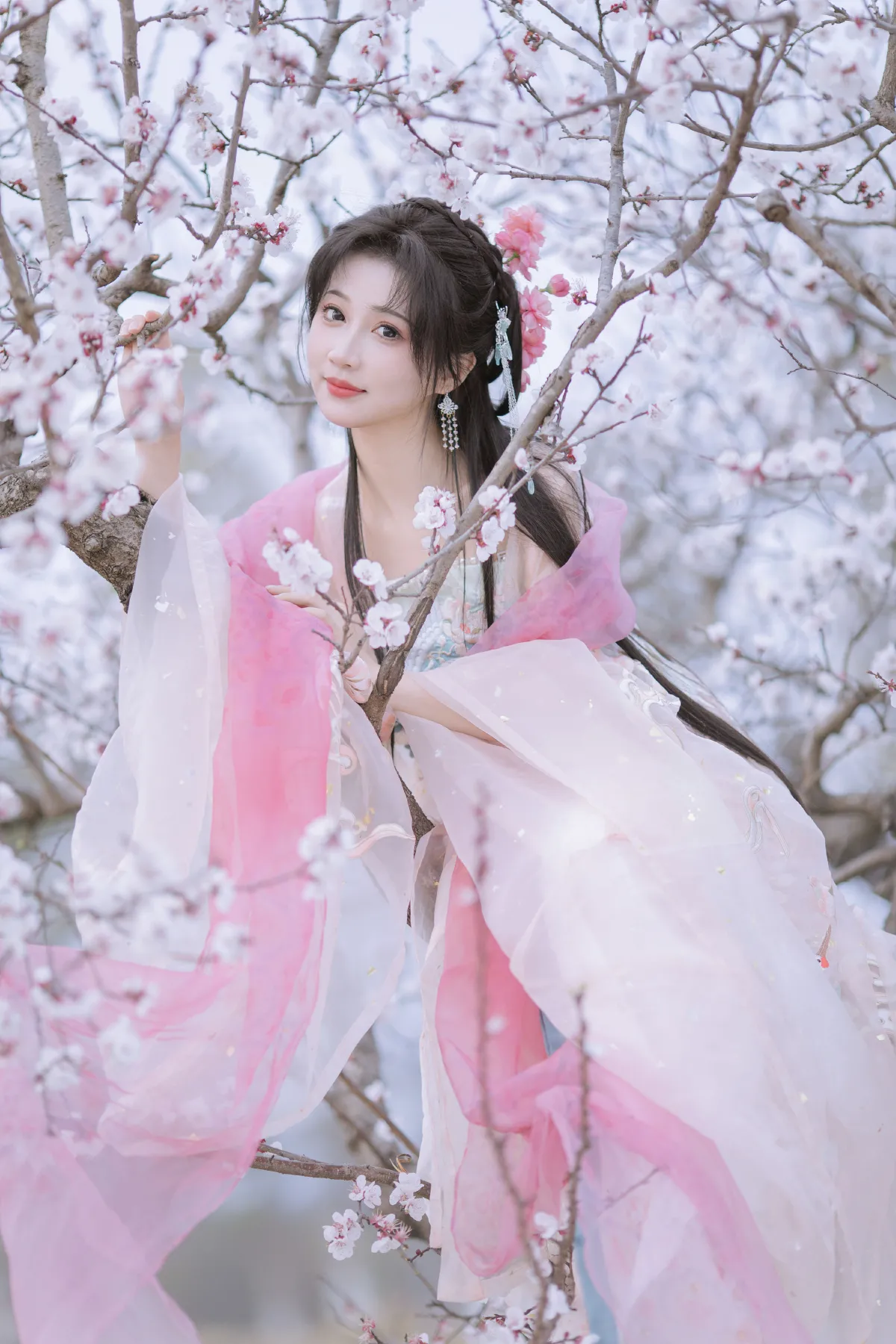 晓山青_绮罗生的小苏苏《杏花小仙子》美图作品图片5