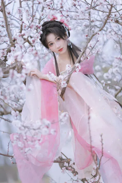 杏花小仙子