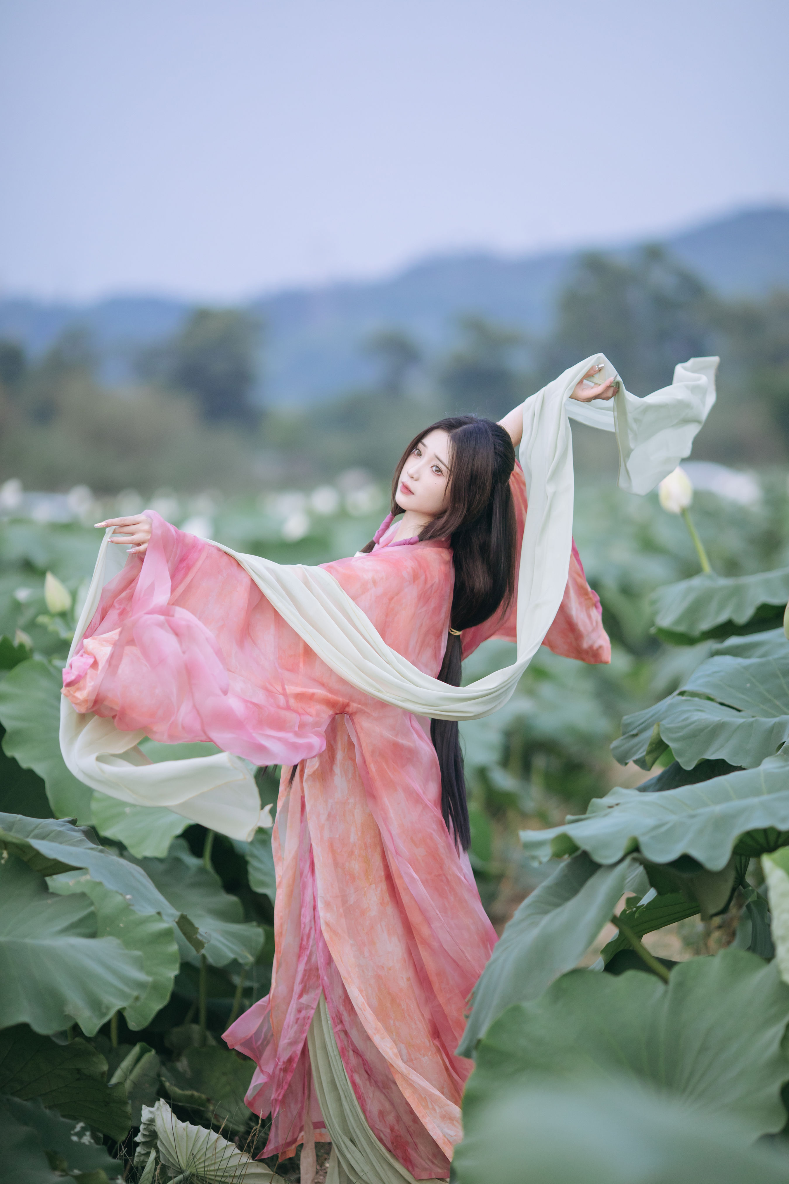 晓山青_褚鸢鸢《晚风吹倒荷花叶》美图作品图片1