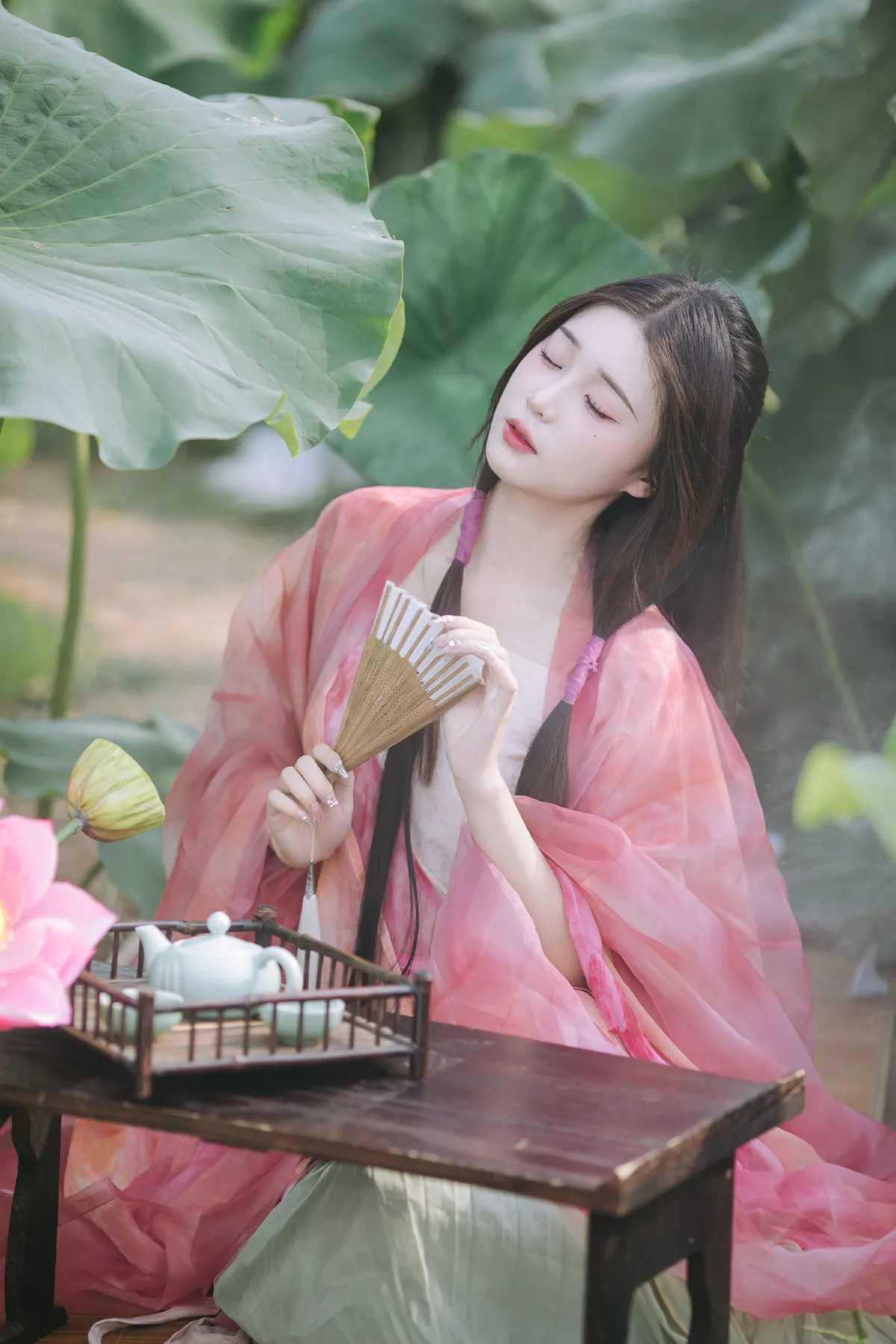 晚风吹倒荷花叶5