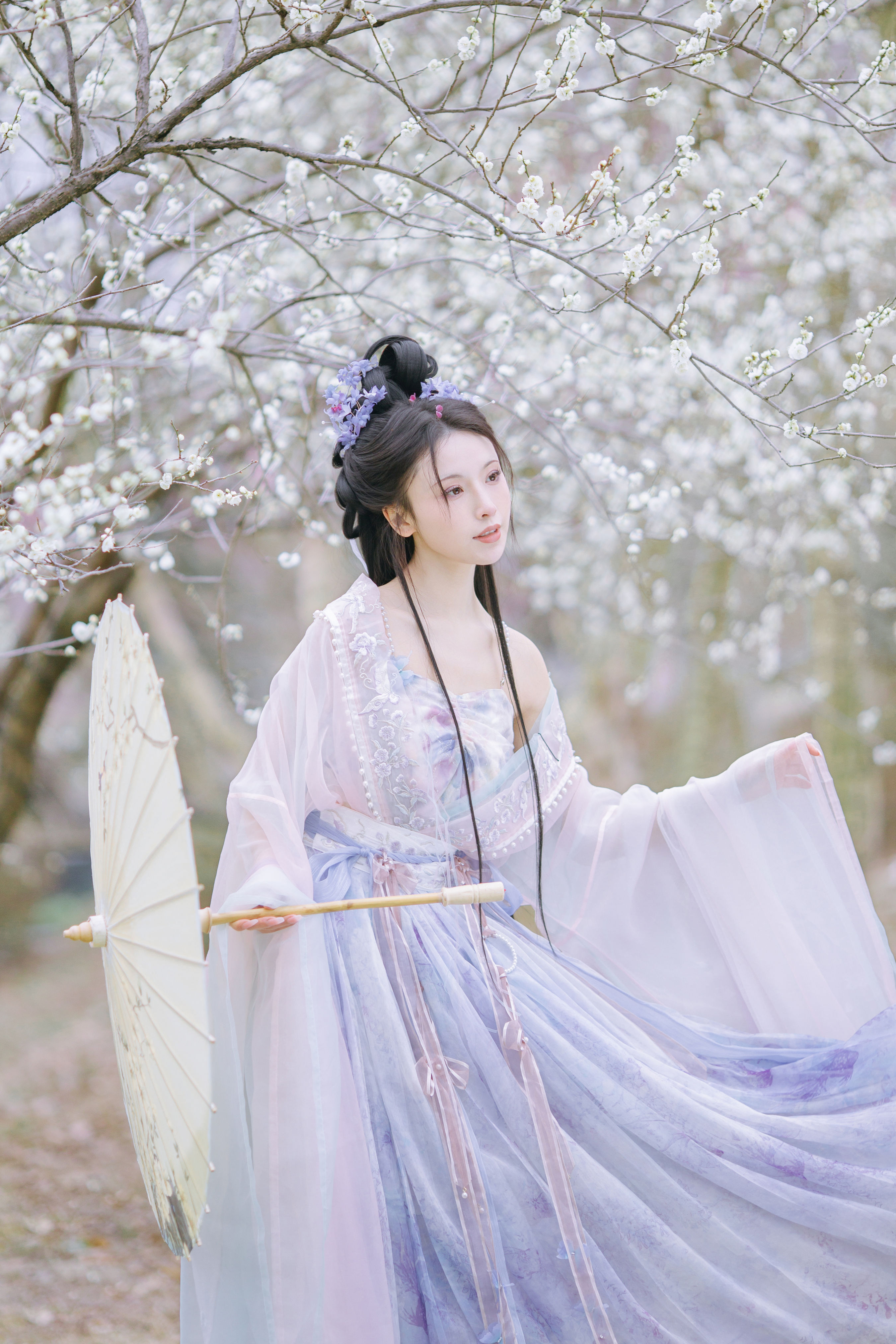 晓山青_一小枝枝枝枝《暗香疏影》美图作品图片1