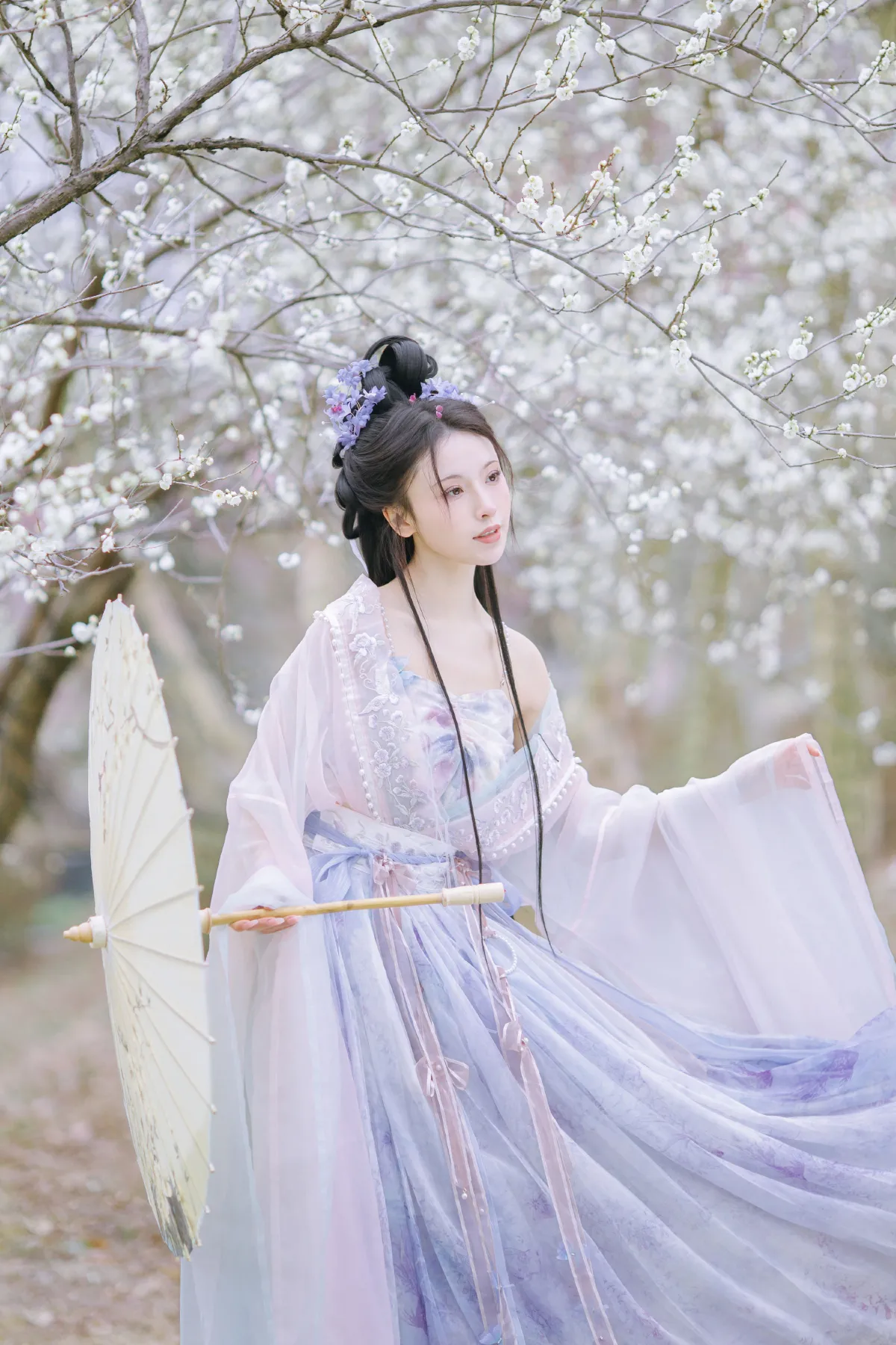 晓山青_一小枝枝枝枝《暗香疏影》美图作品图片1