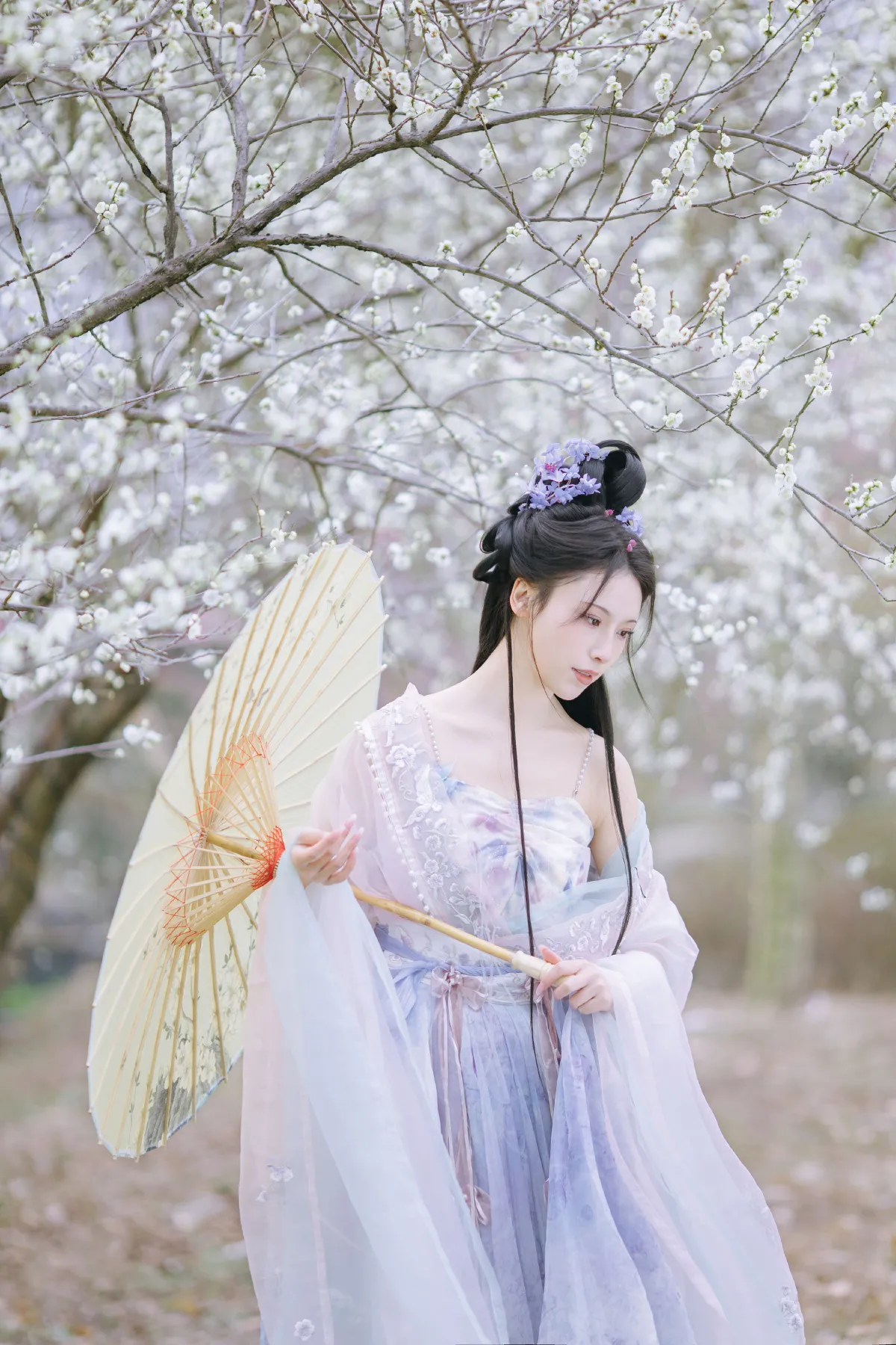 晓山青_一小枝枝枝枝《暗香疏影》美图作品图片2