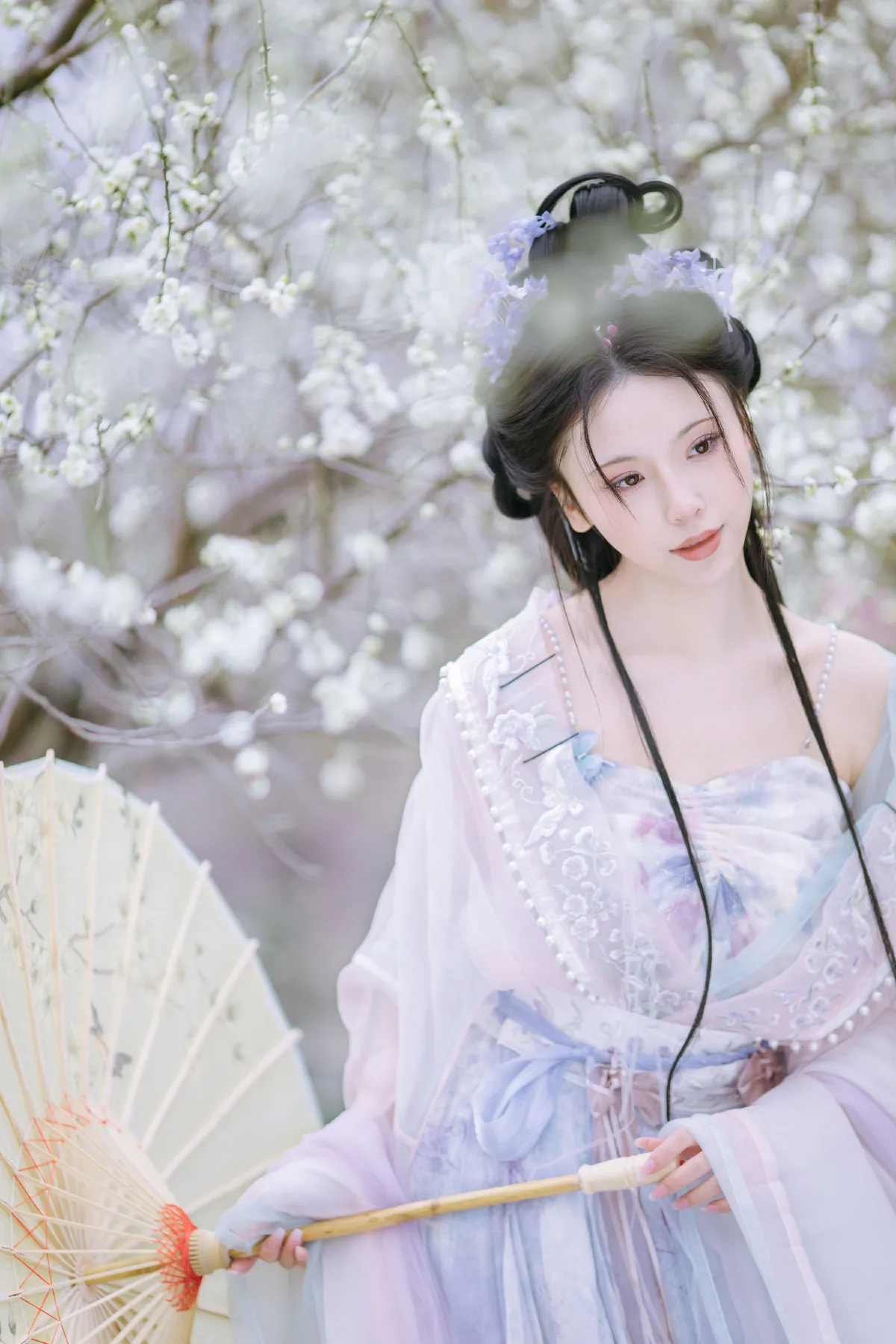 暗香疏影