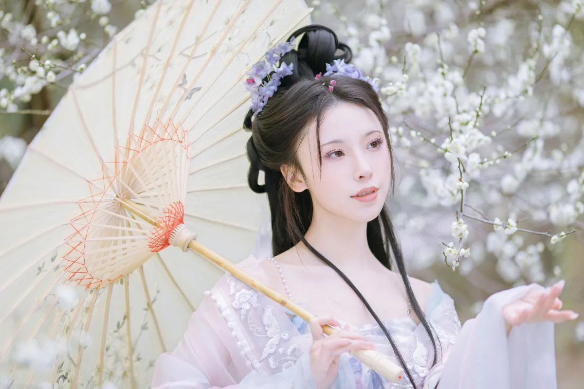 暗香疏影