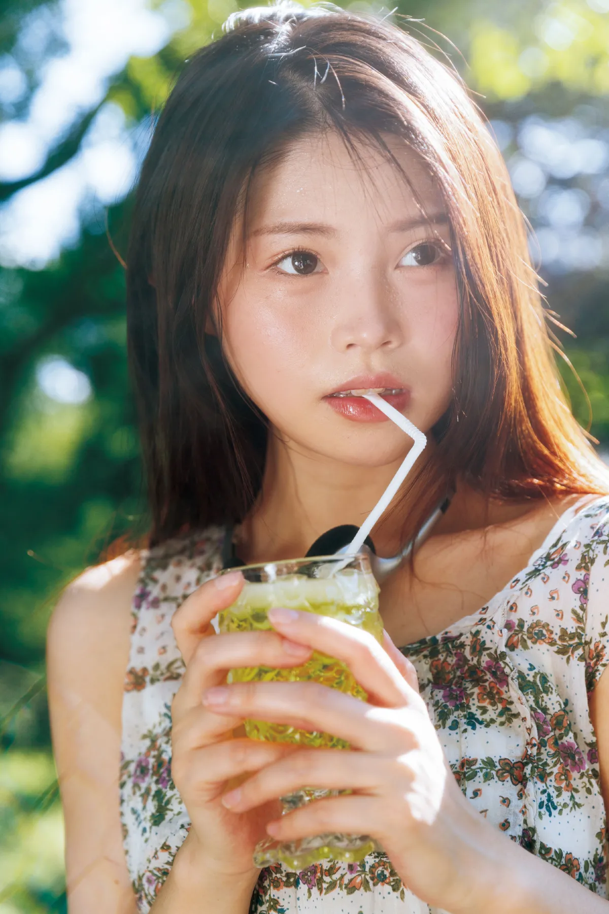夏日回想