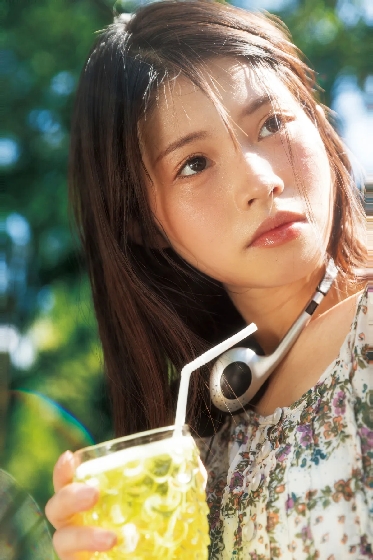 夏日回想
