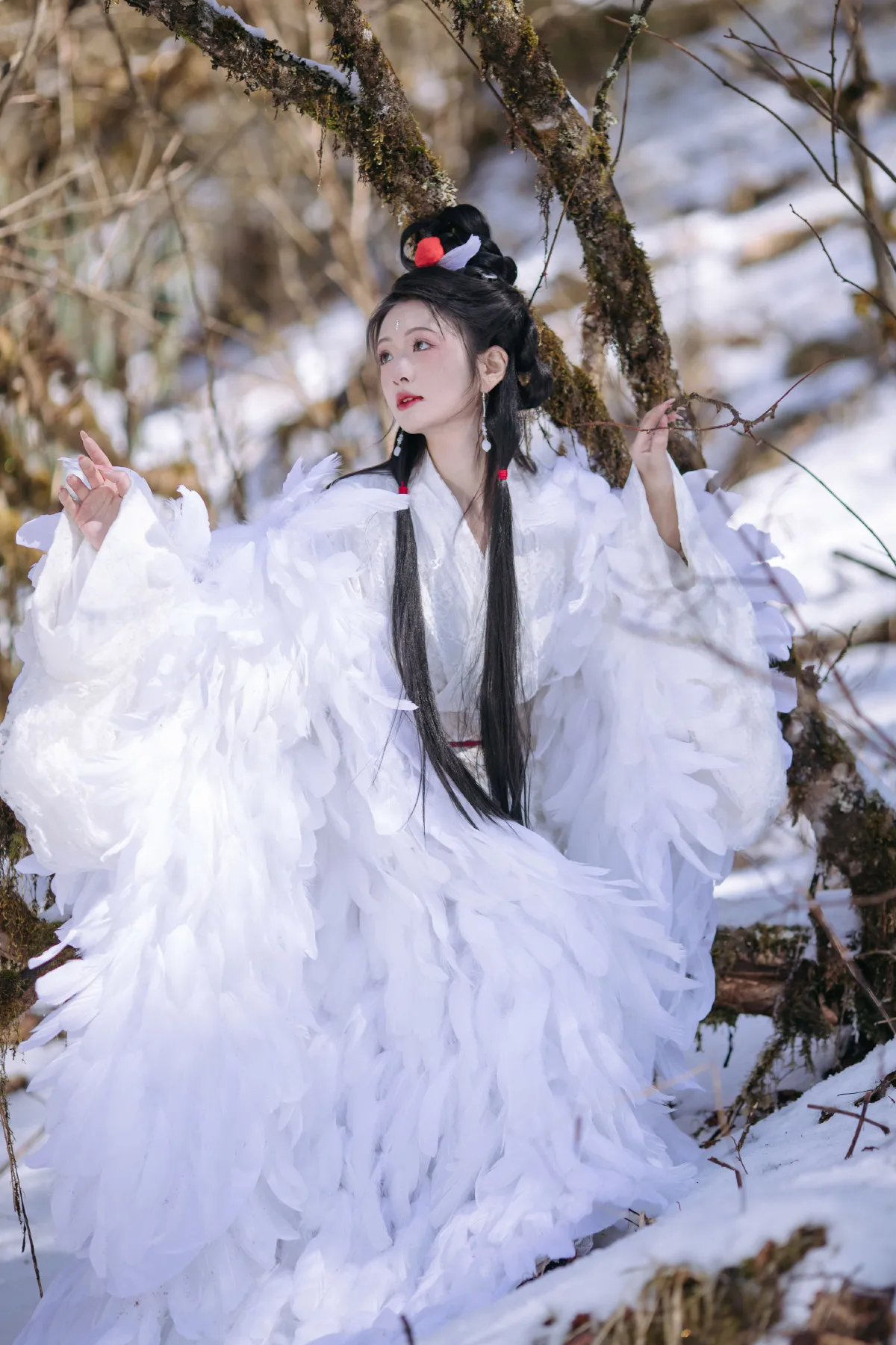 鹤族圣女1