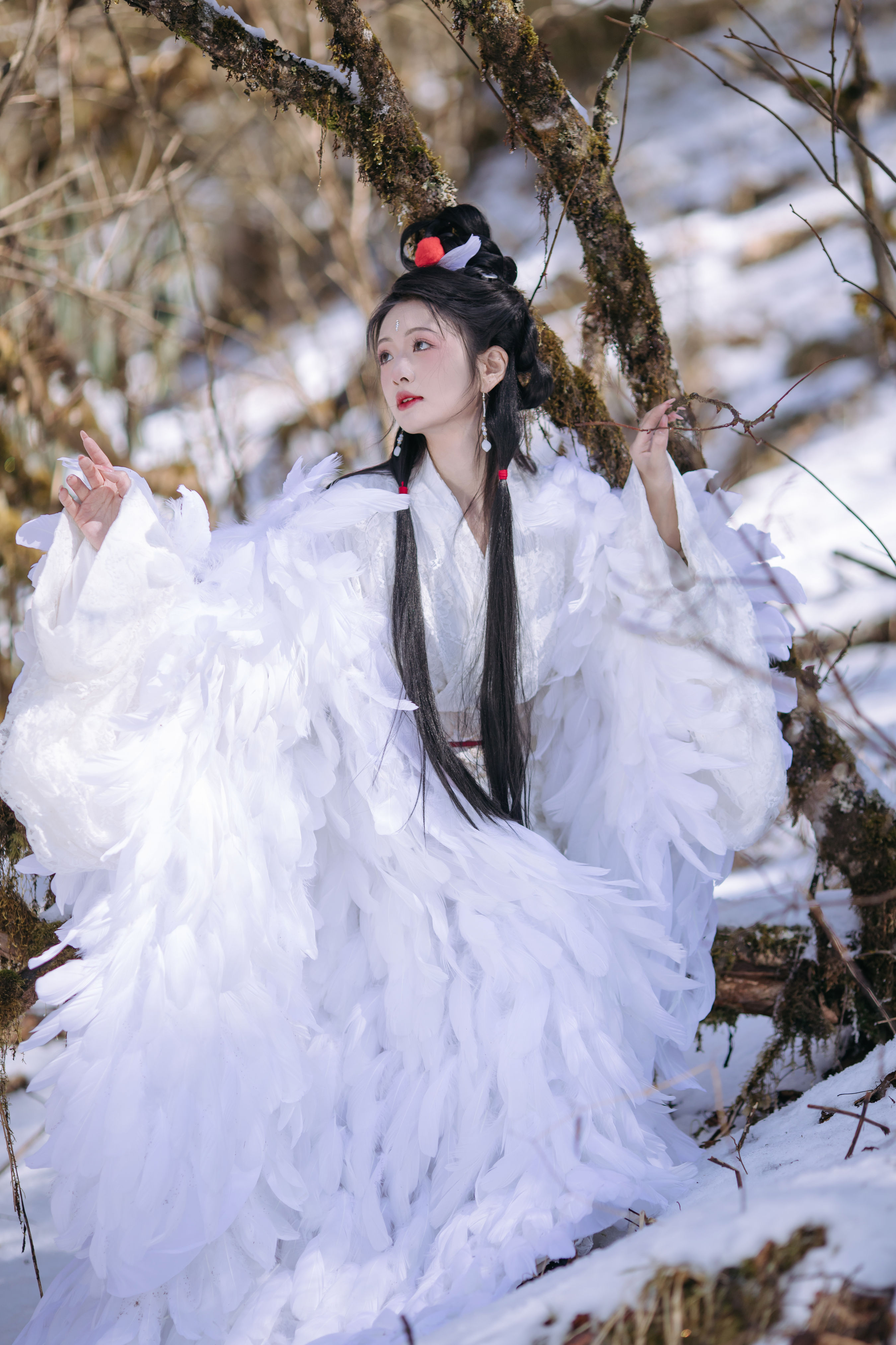 晓山青_赤嫣在这里～《鹤族圣女》美图作品图片1