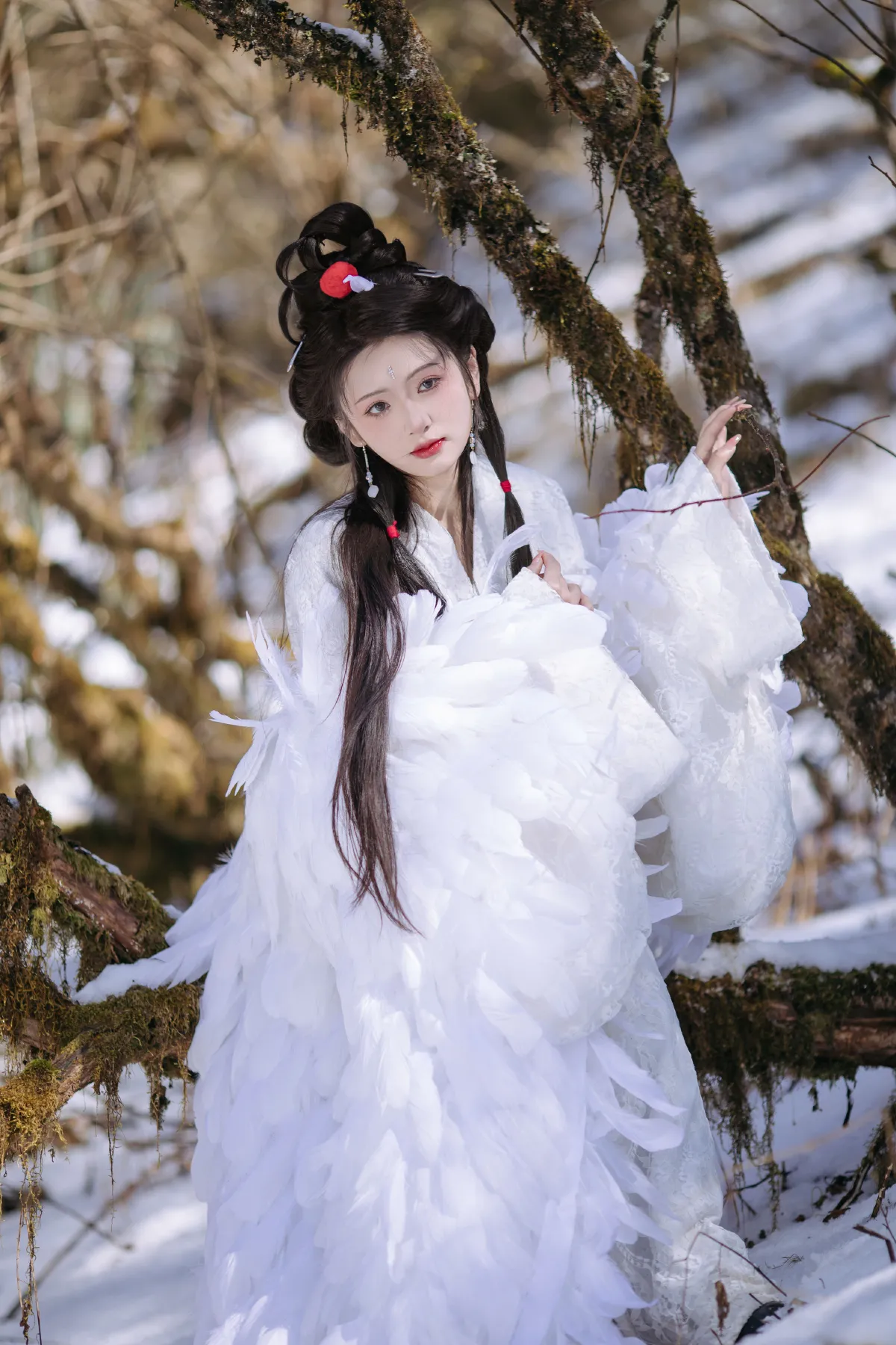 晓山青_赤嫣在这里～《鹤族圣女》美图作品图片3