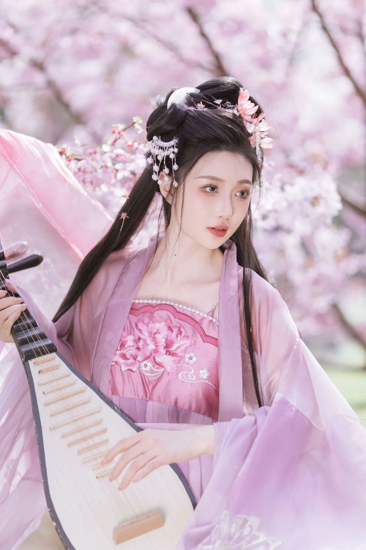 晓山青_柳柳杨柳柳《风起樱如雪》美图作品图片1