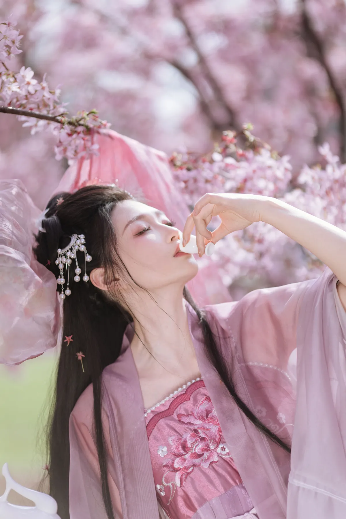 晓山青_柳柳杨柳柳《风起樱如雪》美图作品图片2
