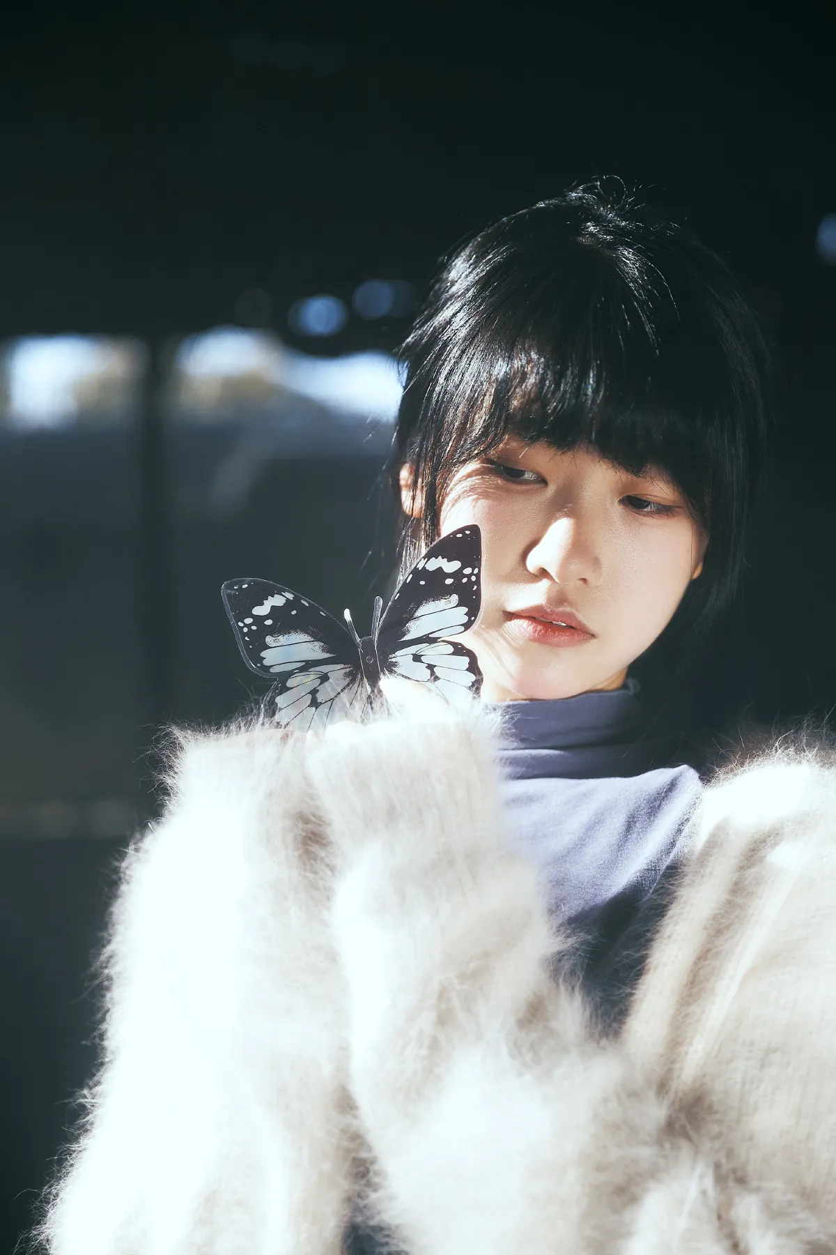 燕尾蝶