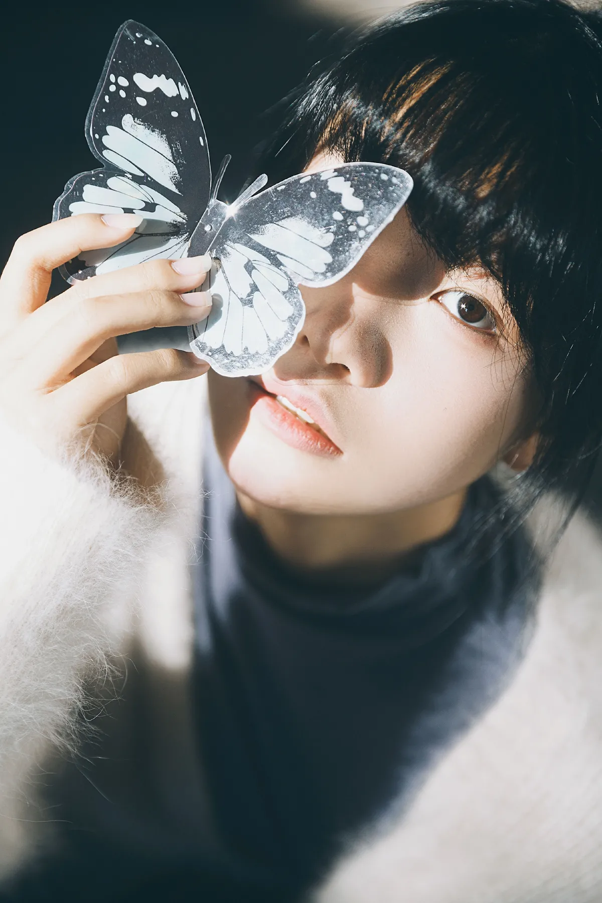 燕尾蝶