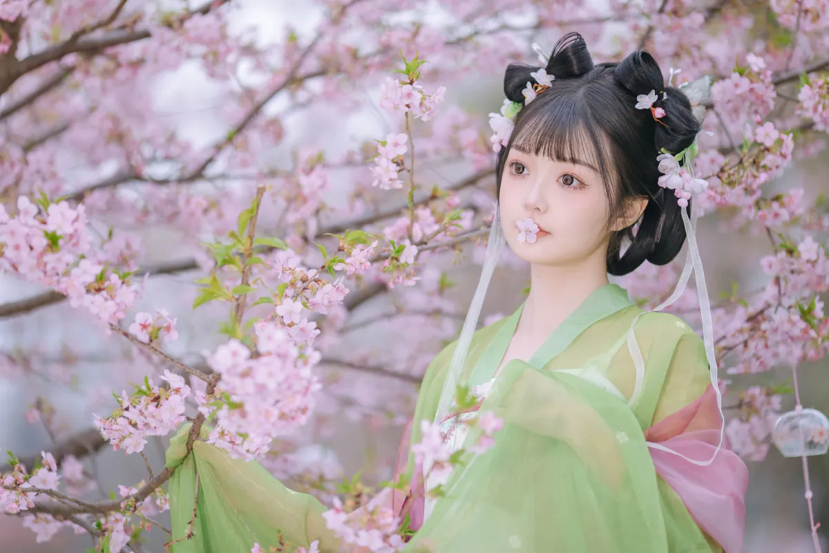 春知晓