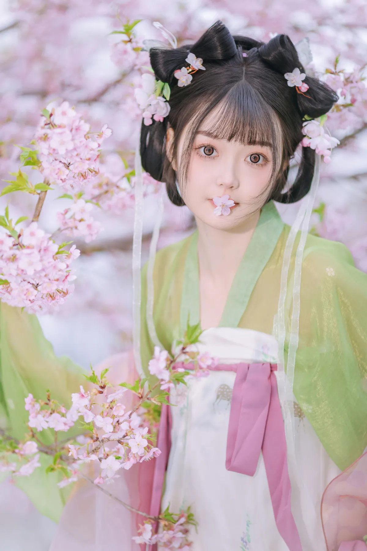 春知晓