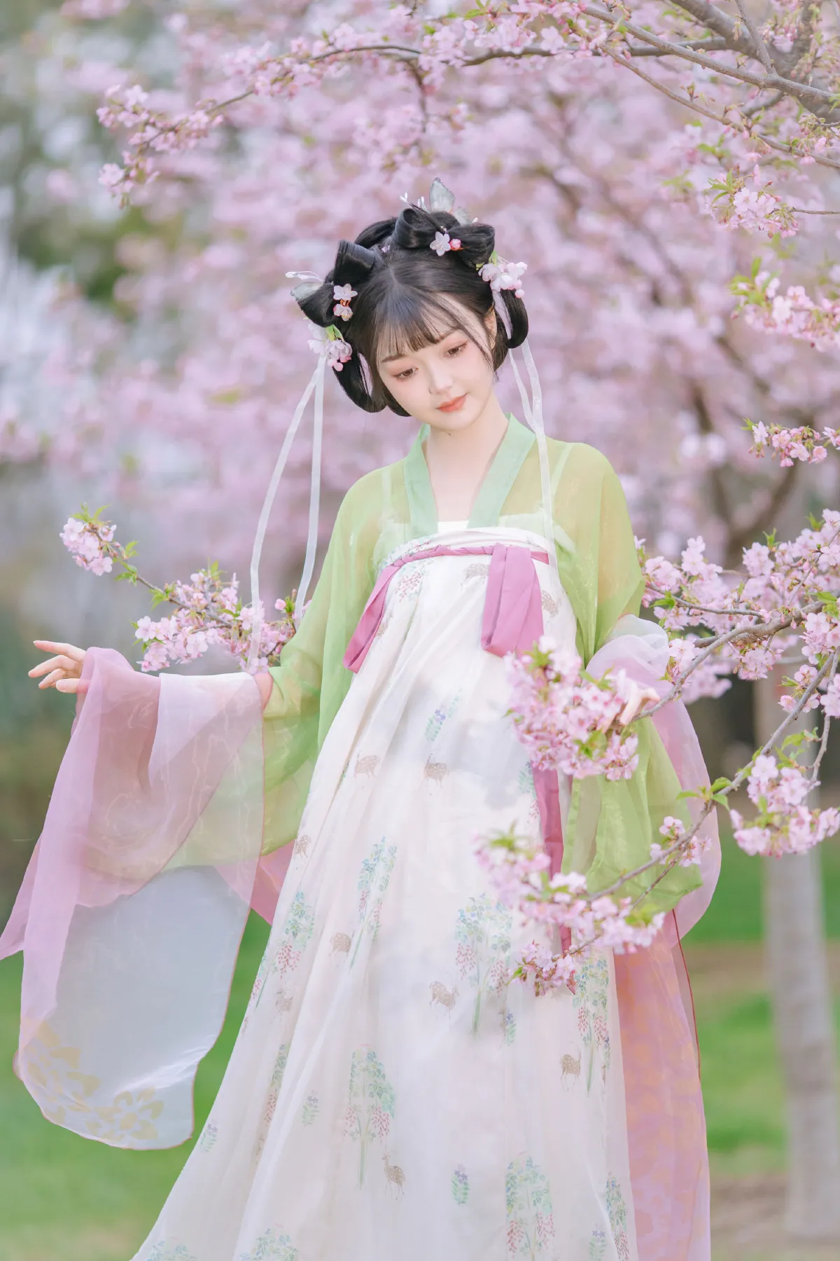 春知晓