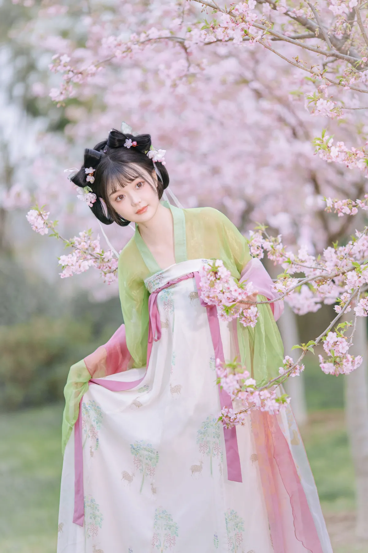 春知晓