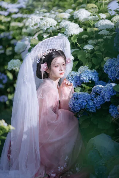 花想容
