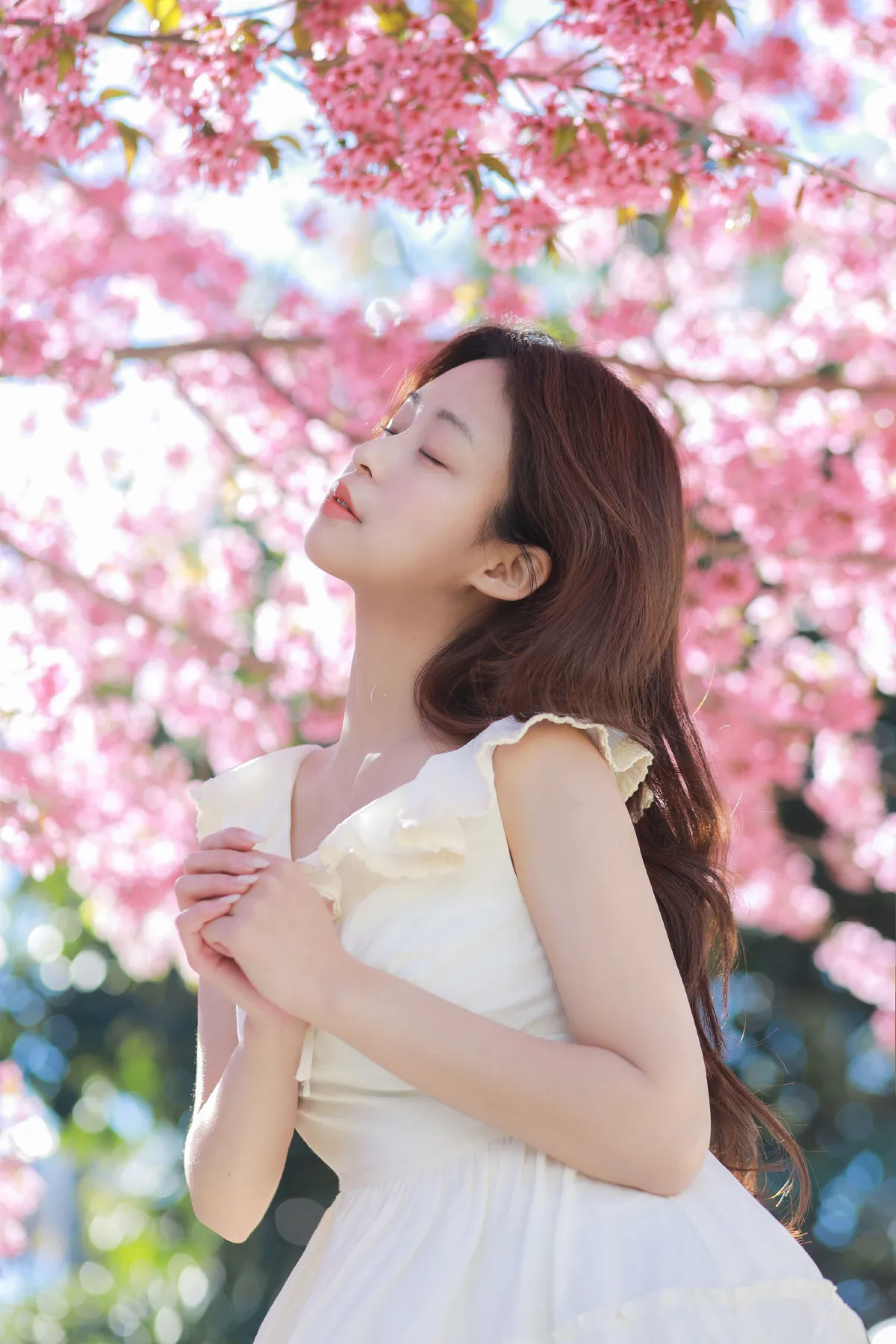 樱花树下的少女