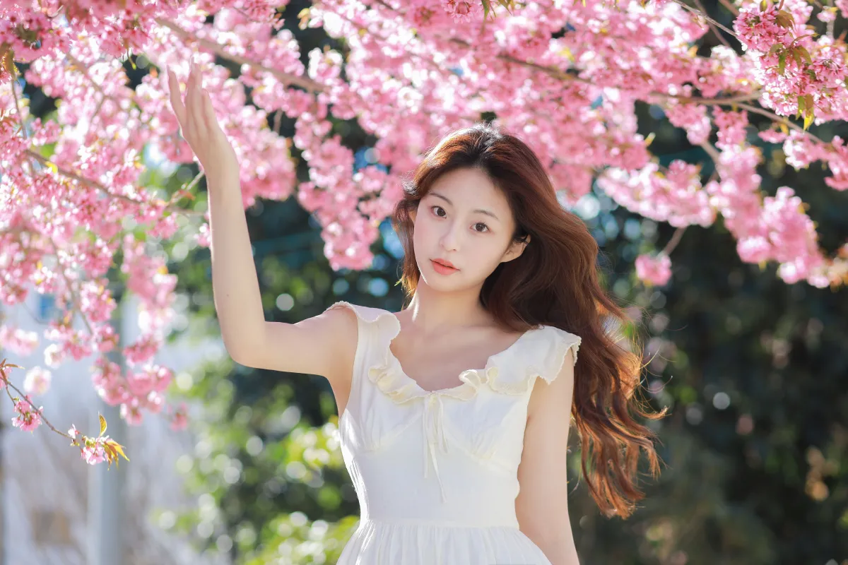 樱花树下的少女