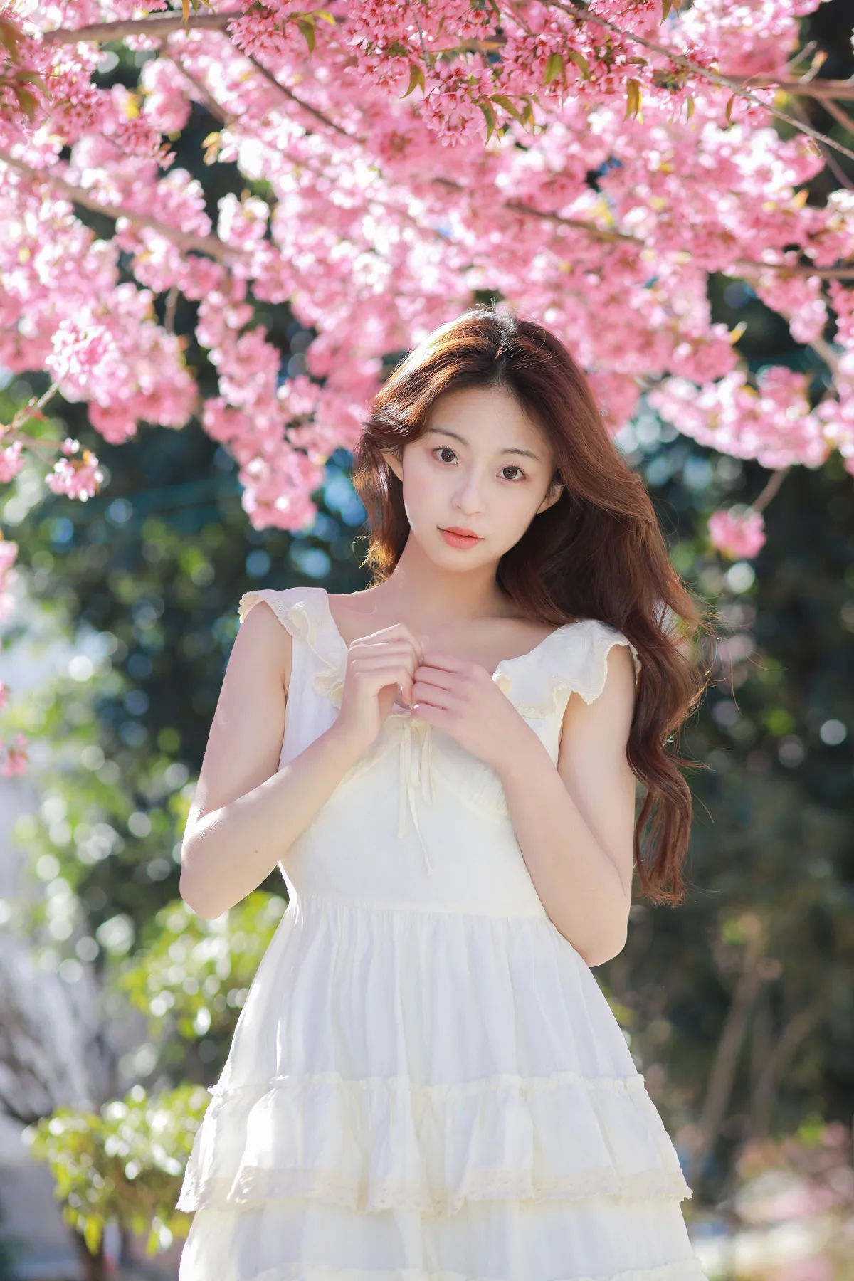 樱花树下的少女