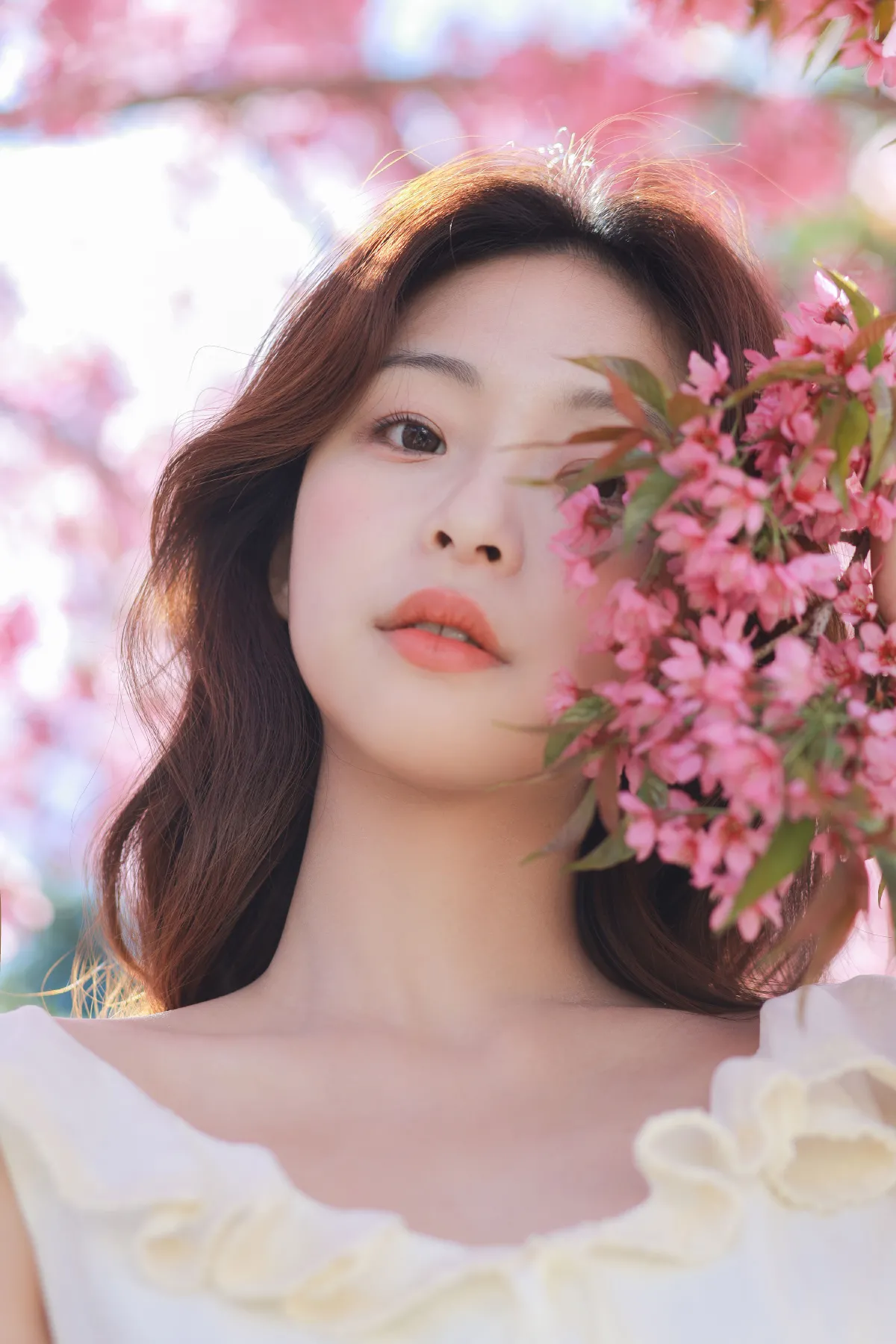 樱花树下的少女