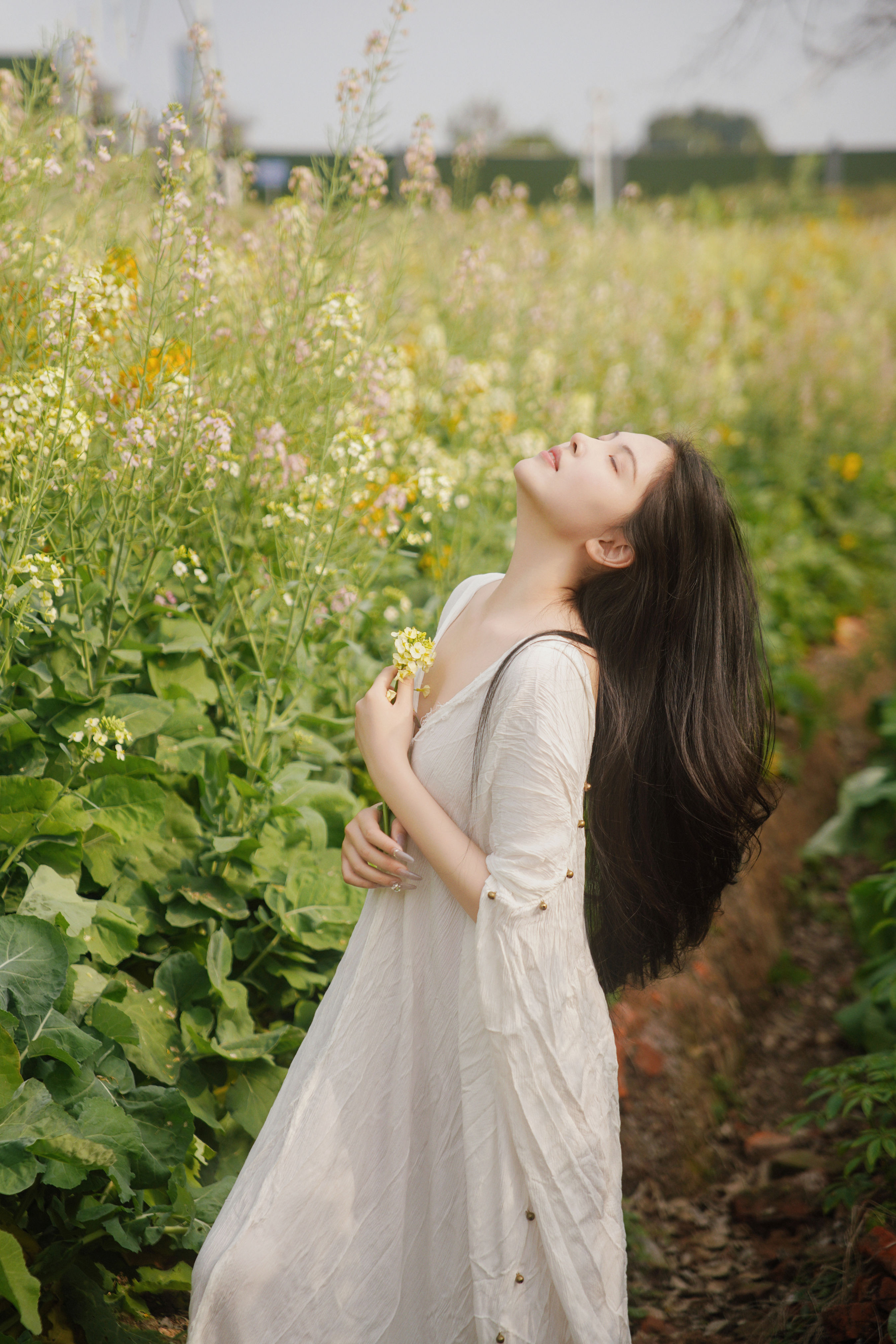 花海秘语，少女的绿野绮梦
