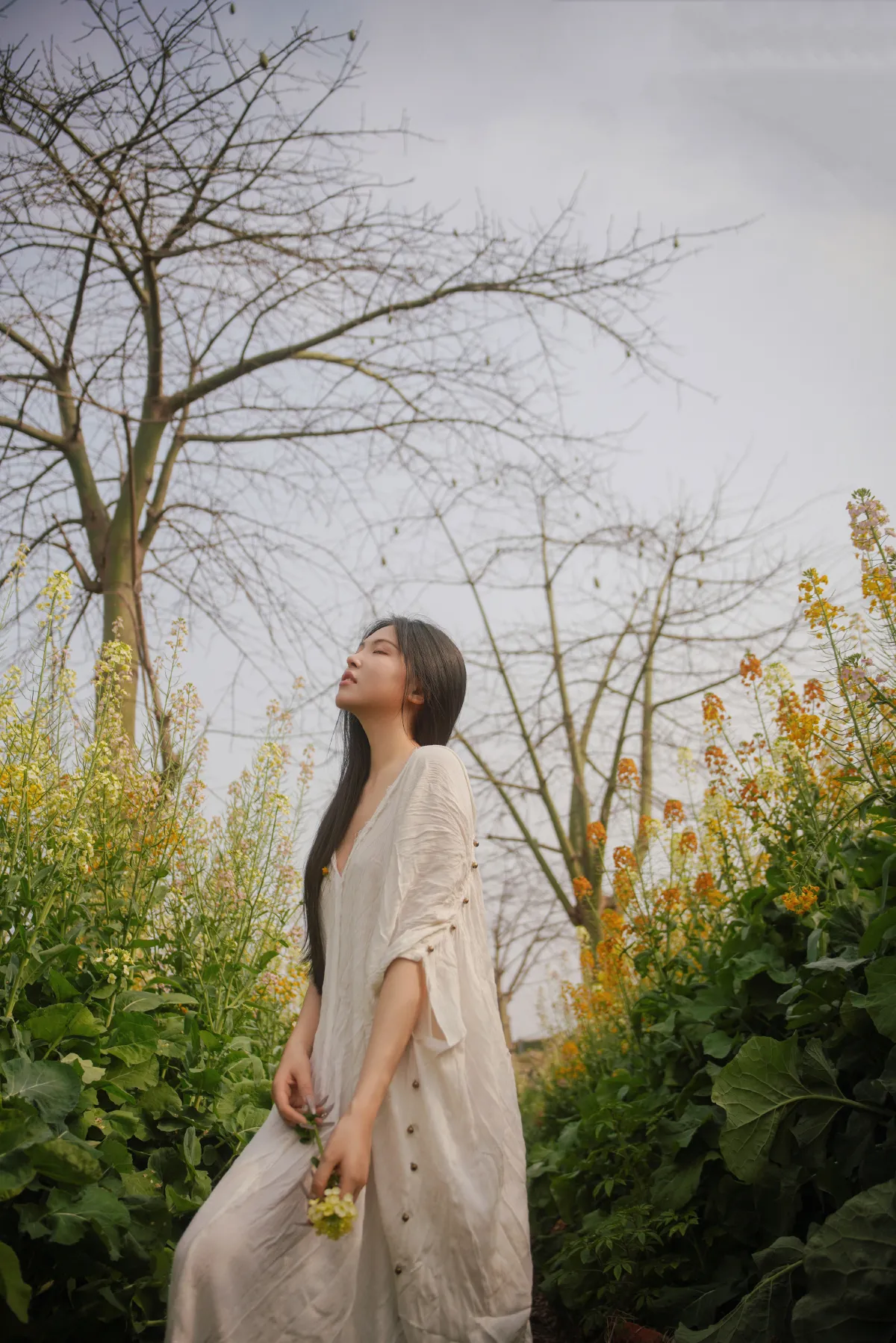 花海秘语，少女的绿野绮梦