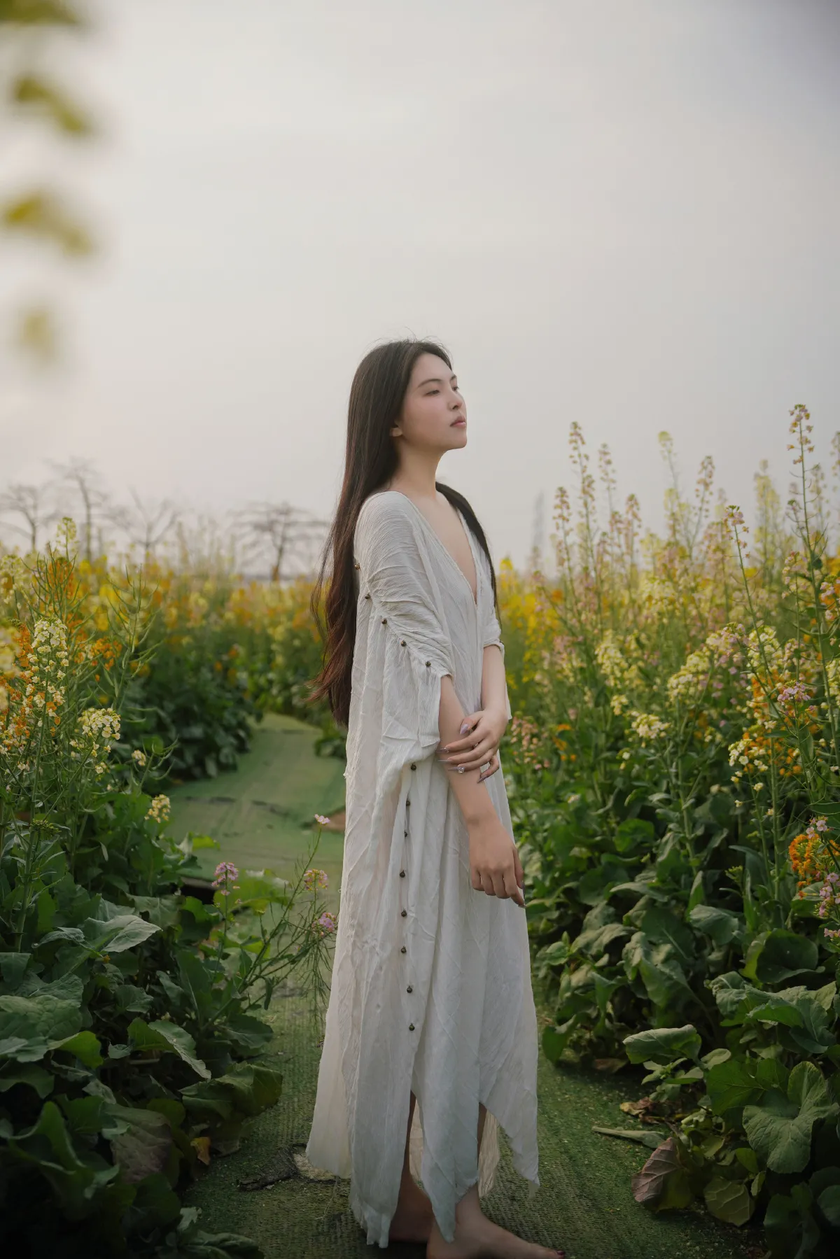 花海秘语，少女的绿野绮梦