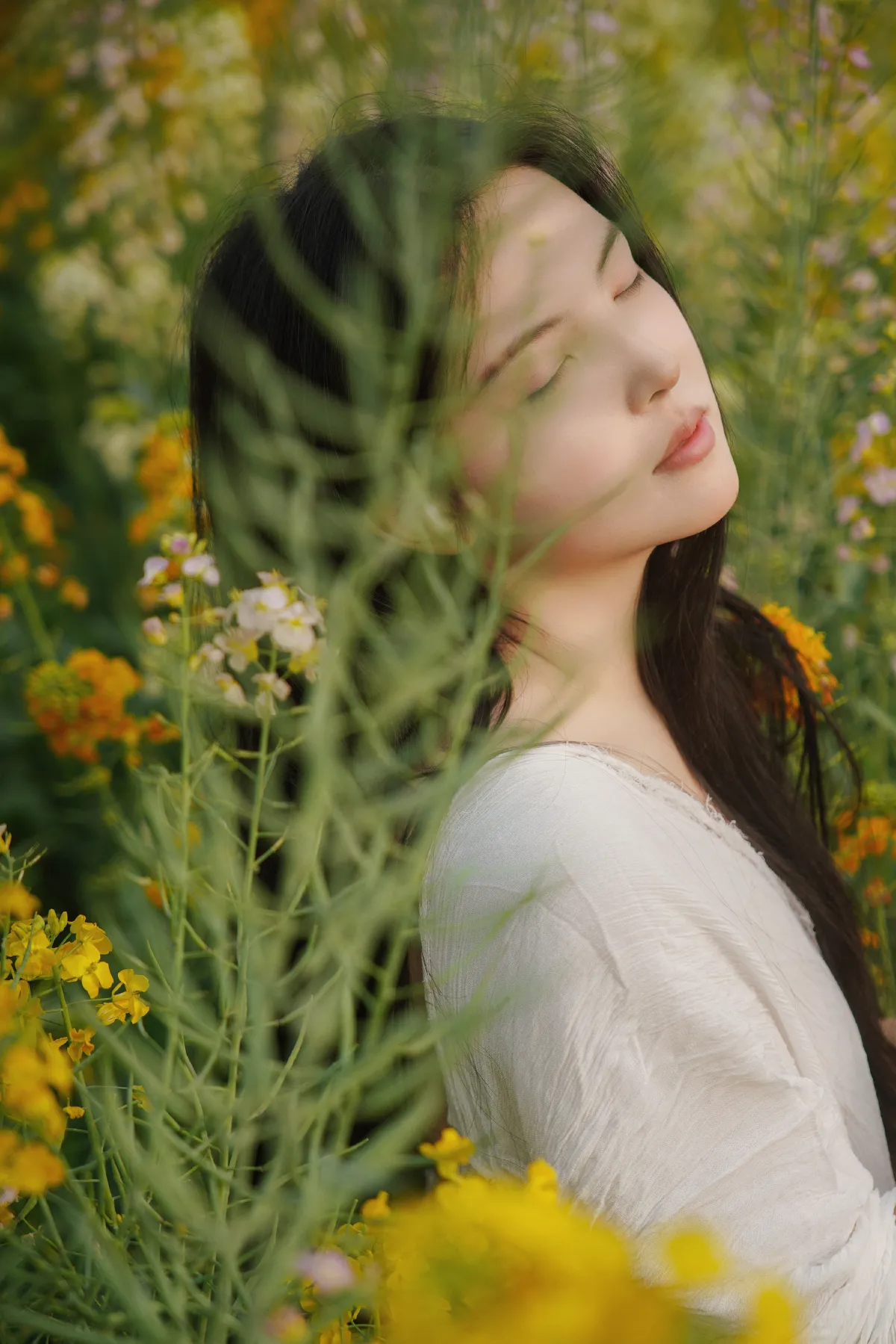 花海秘语，少女的绿野绮梦