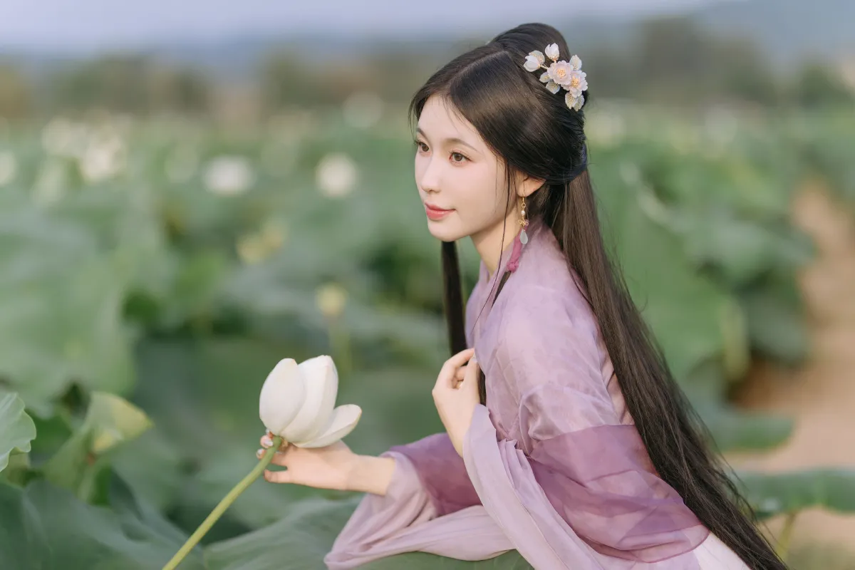 晓山青_许尽欢～《荷叶连田田》美图作品图片3