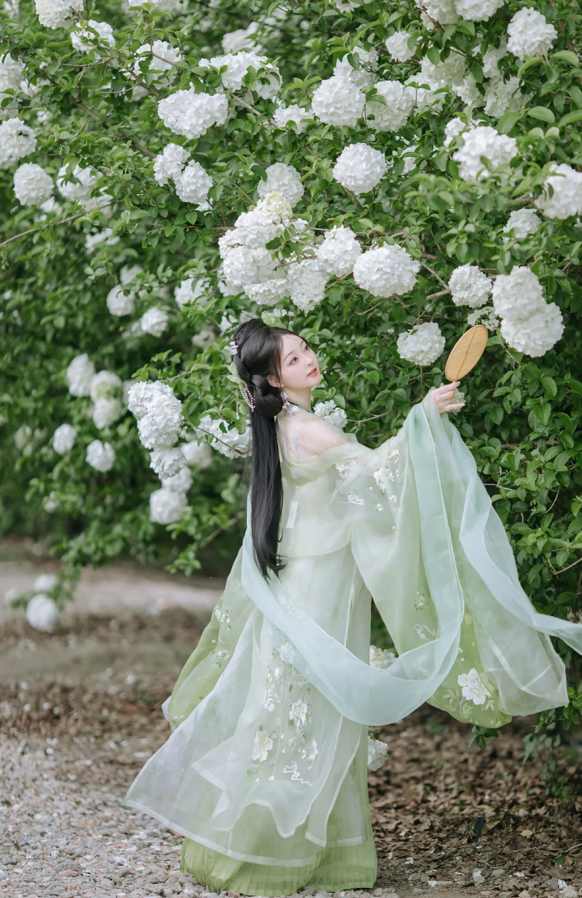 邻家有女
