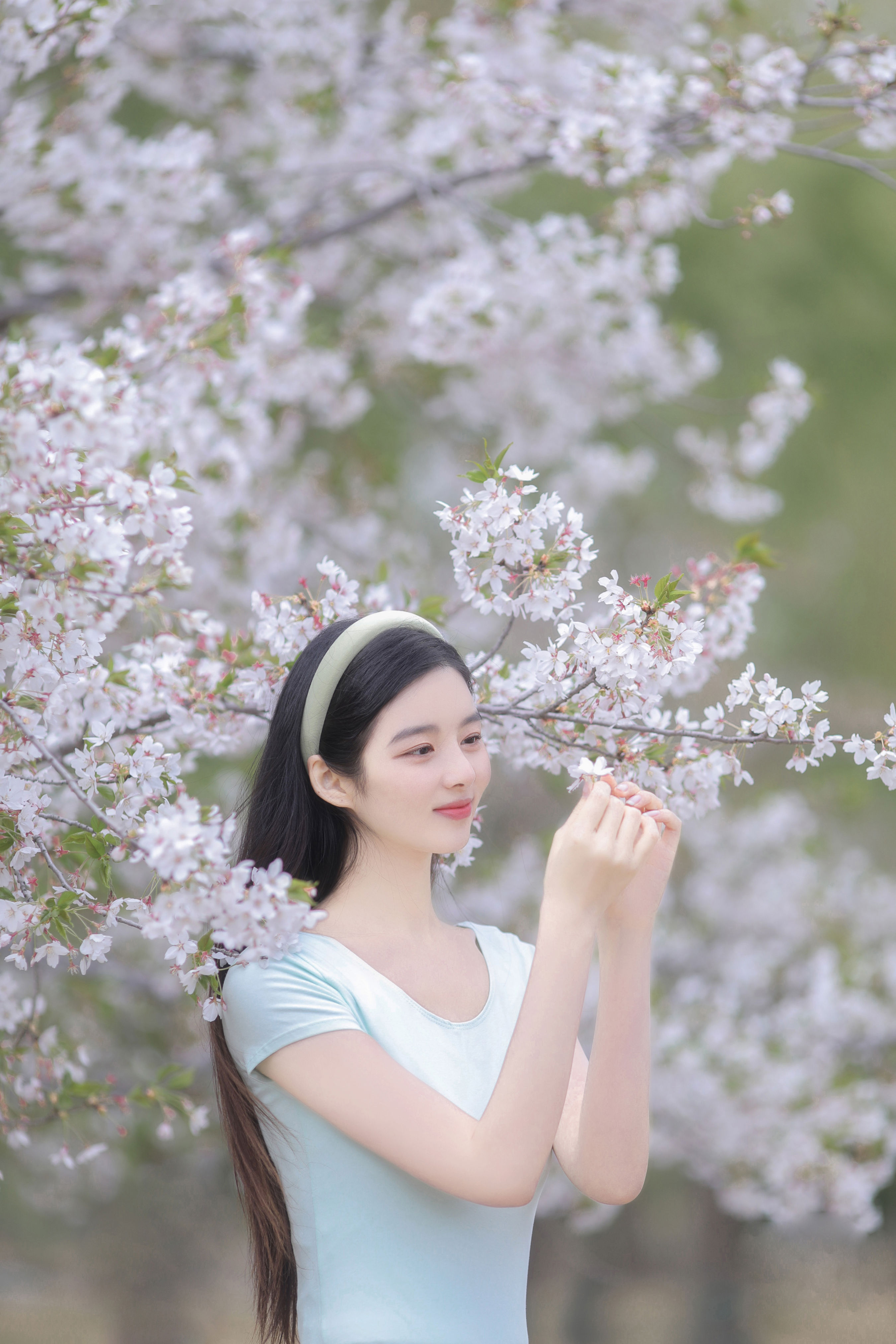 日漫樱花
