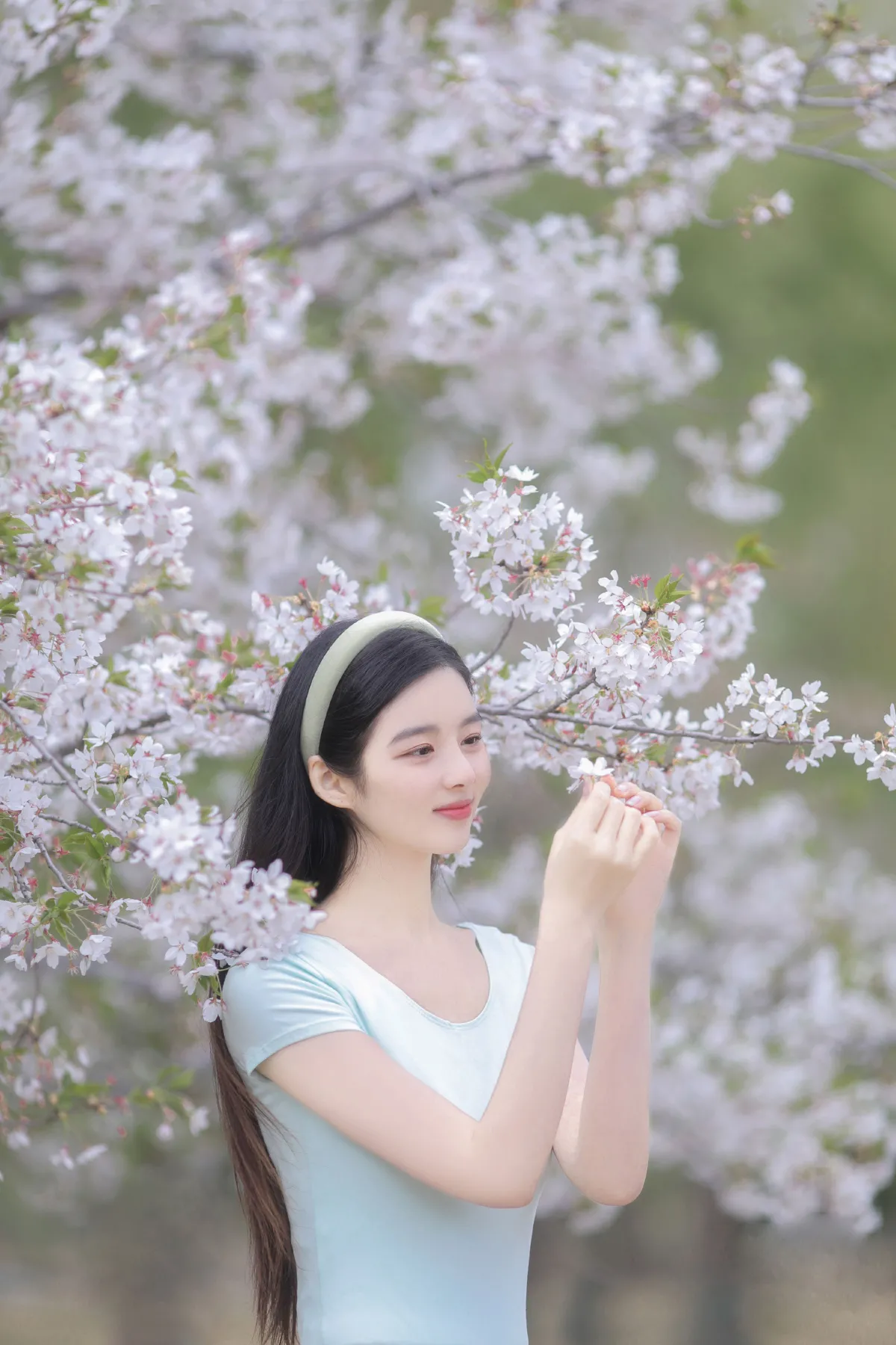 日漫樱花