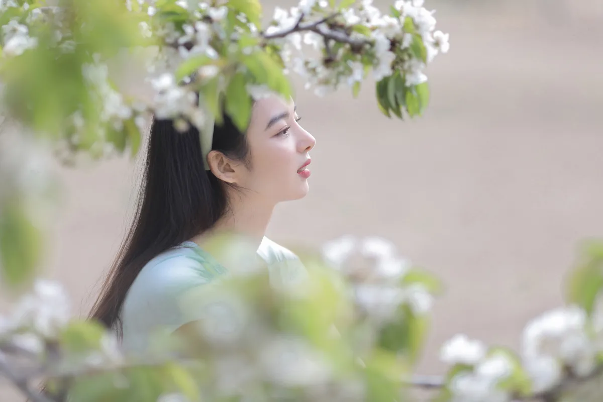日漫樱花