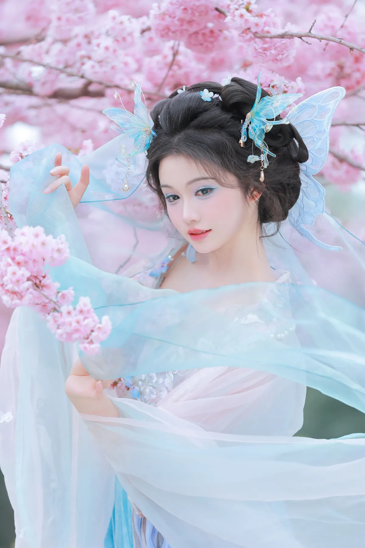 樱舞蝶衣