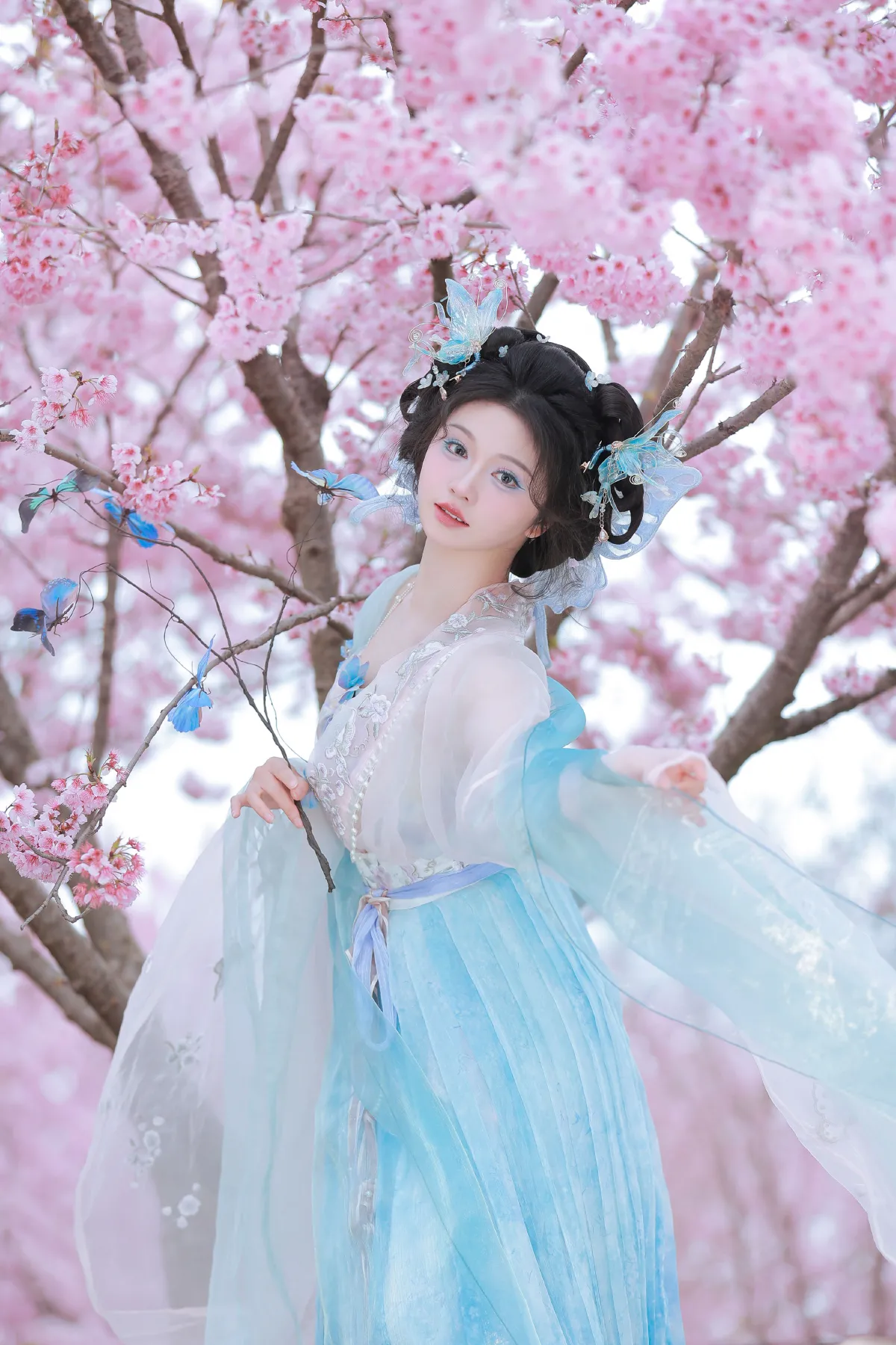 樱舞蝶衣